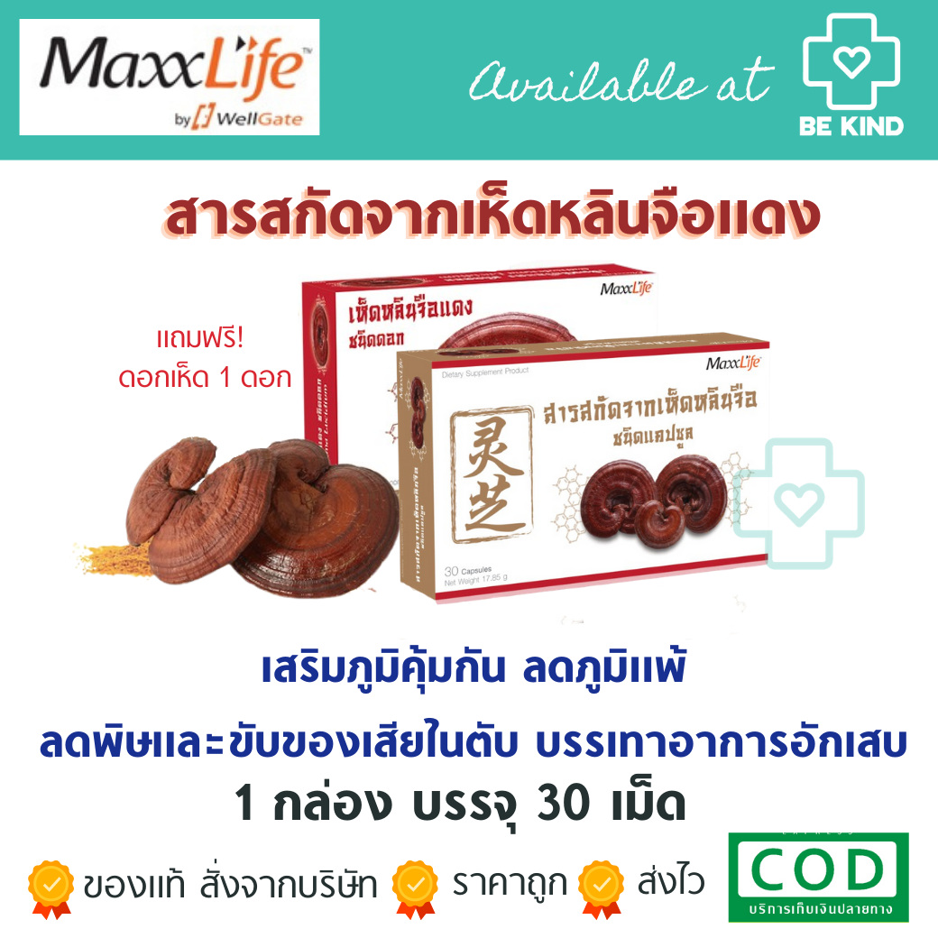 EXP. 06/01/23 MaxxLife เห็ดหลินจือแดง 30 แคปซูล.