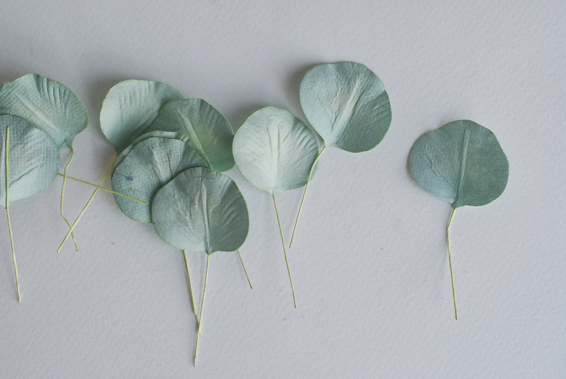 ใบไม้กระดาษ orbicular leaves ใบไม้กระดาษสา ราคาส่ง,ใบไม่้กลม กระดาษ สำหรับงานประดิษฐ์ ใบไม้ประดิษฐ์ สำหรับตกแต่ง หรืองานแต่งงาน สีเขียวตุ่น ขนาด 3x3 cm. จำนวน 50 ใบ