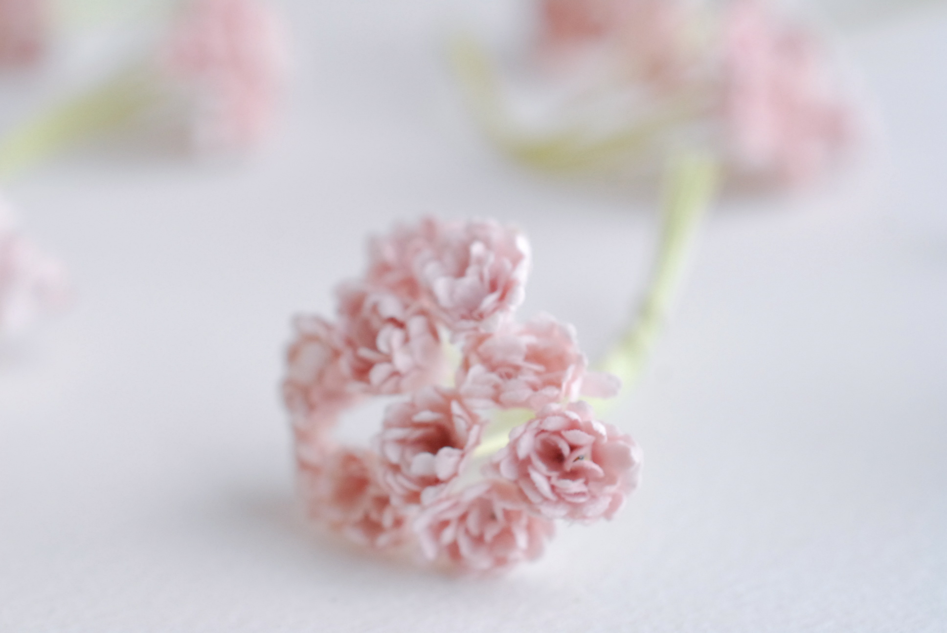 ดอกไม้ประดิษฐ์, ดอกไม้กระดาษสา, ดอก gypsophila, ดอกยิปโซ งานประดิษฐ์ตกแต่งของชำร่วย, ดอกไม้ทำพานพุ่ม, พานรับไหว้, ขนาด 1 cm. สีชมพูอ่อน