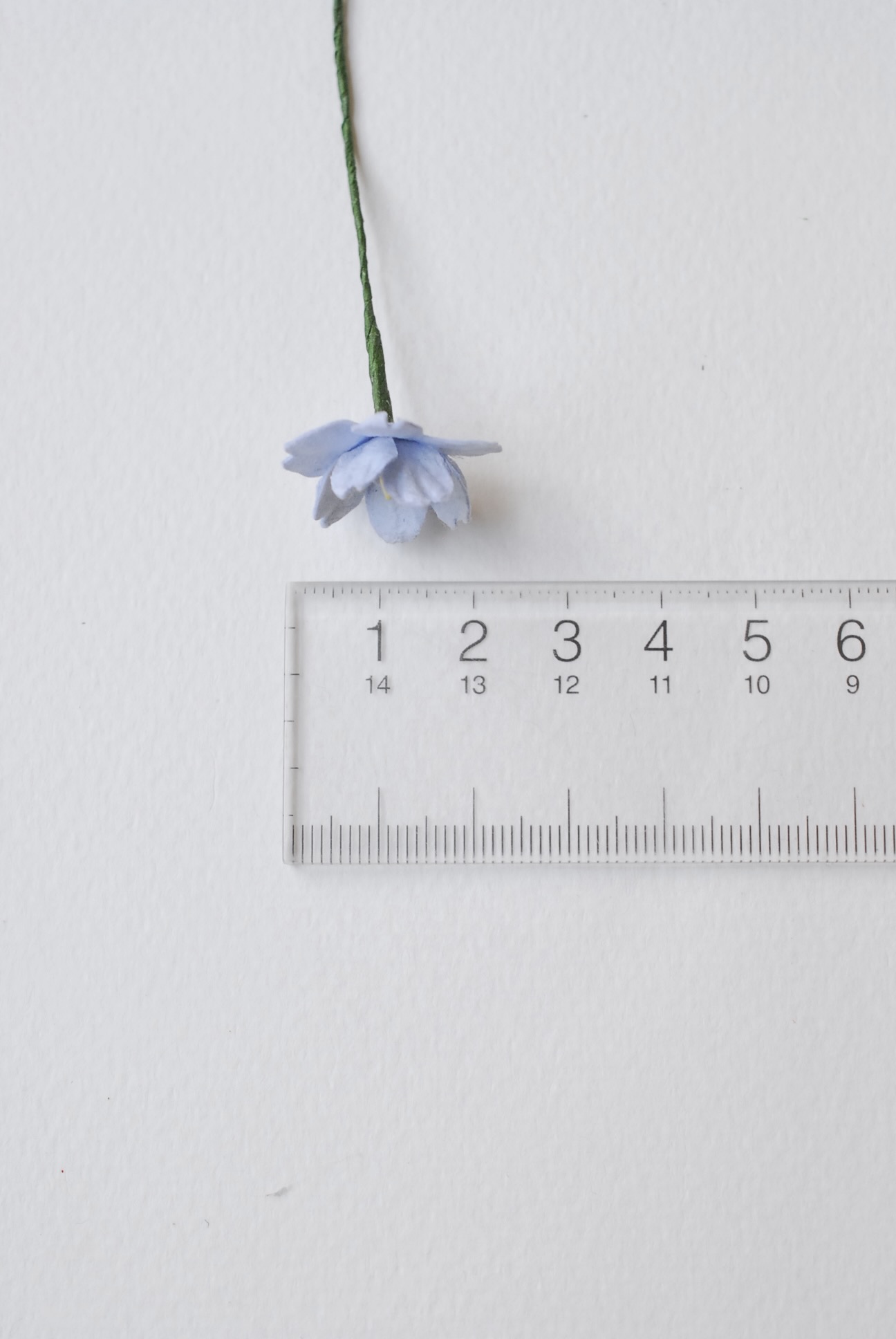 ดอกไม้กระดาษสา ดอกซากุระกระดาษ ขนาดเล็ก ดอกไม้กระดาษสาราคาส่ง ดอกไม้กระดาษสำหรับตกแต่งของชำร่วย งานแต่งงาน ทำช่อดอกไม้ติดอกเจ้าบ่าว ข้อมือดอกไม้เจ้าสาว ขนาด2.0 cm. 50 ดอก สีฟ้าตุ่น Paper flowers supplies: DIY wedding tools small Cherry blossom (Sakura) 50