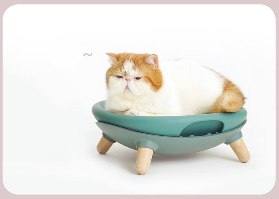 [1100] Sofa bed pet เตียงแมว เปลี่ยนได้หลายแบบ ใส่น้ำร้อนได้ สุดฟิน