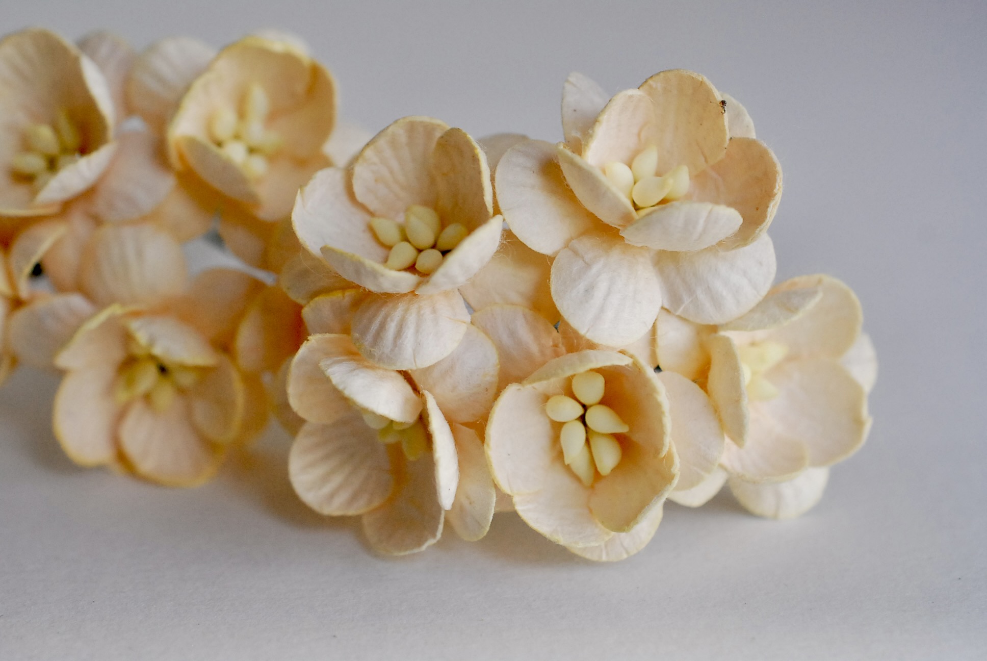 ดอกไม้กระดาษสา ดอกไม้กระดาษสาราคาส่ง ดอกไม้กระดาษสำหรับตกแต่งของชำร่วย งานแต่งงาน ทำช่อดอกไม้ติดอกเจ้าบ่าว ข้อมือดอกไม้เจ้าสาว ขนาด2.5 cm. 50 ดอก สีเบจ Paper flowers supplies: DIY wedding tools Cherry blossom (Sakura) 50 pcs. size 2.5 cm. beige color.