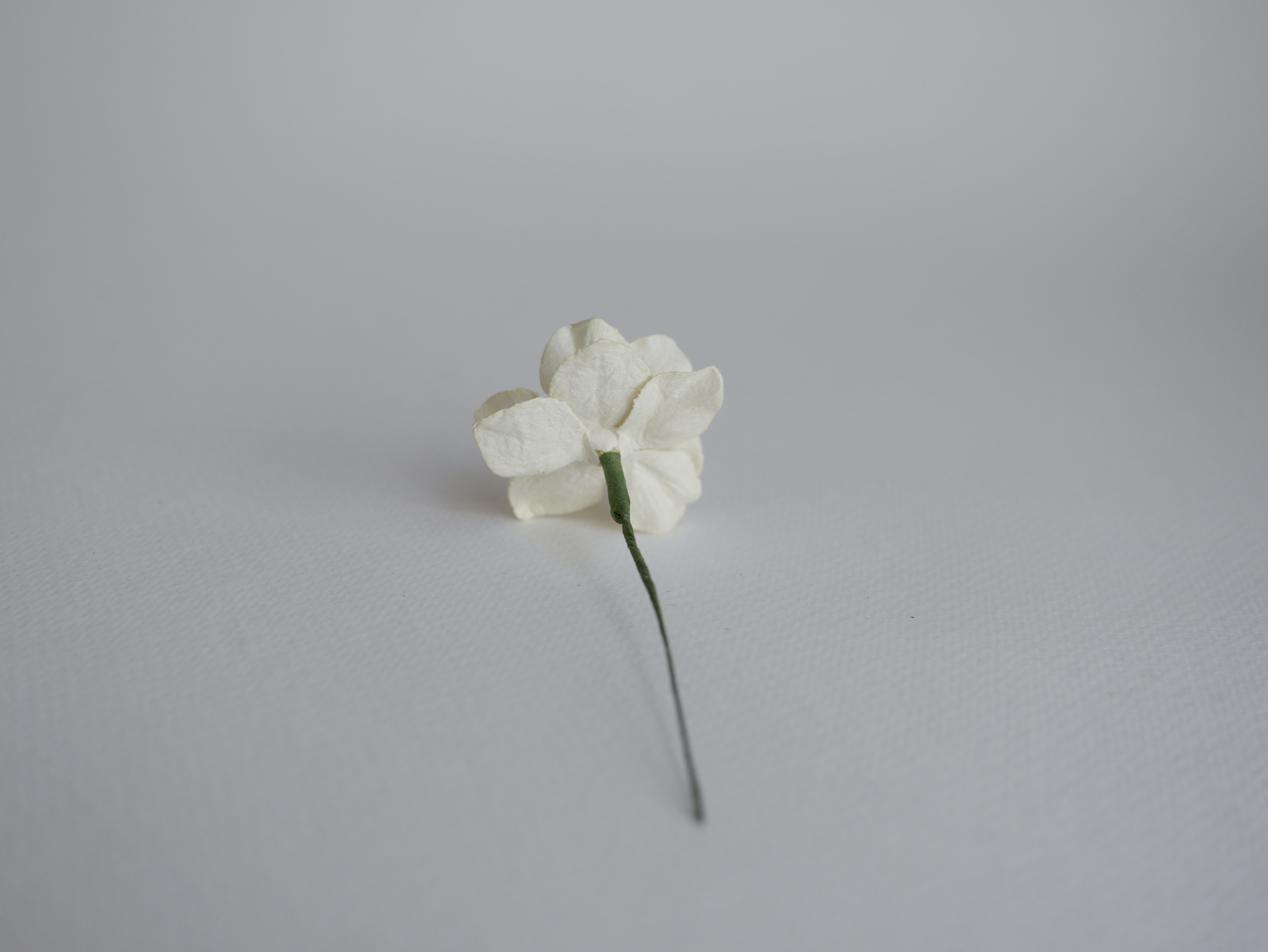 ดอกไม้กระดาษสา ดอกโลตัสอินโดนิเซียกระดาษ ดอกไม้กระดาษสาราคาส่ง ดอกไม้กระดาษสำหรับตกแต่งของชำร่วย งานแต่งงาน ช่อดอกไม้ติดอกเจ้าบ่าว ข้อมือดอกไม้เจ้าสาว ขนาด3.5 cm. 25 ดอก สีครีม งาช้างอ่อน Paper flowers supplies: DIY wedding tools Big Cherry blossom ivory