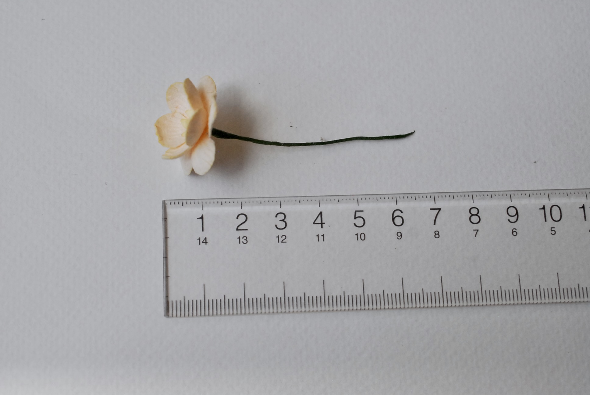 ดอกไม้กระดาษสา ดอกไม้กระดาษสาราคาส่ง ดอกไม้กระดาษสำหรับตกแต่งของชำร่วย งานแต่งงาน ทำช่อดอกไม้ติดอกเจ้าบ่าว ข้อมือดอกไม้เจ้าสาว ขนาด2.5 cm. 50 ดอก สีเบจ Paper flowers supplies: DIY wedding tools Cherry blossom (Sakura) 50 pcs. size 2.5 cm. beige color.