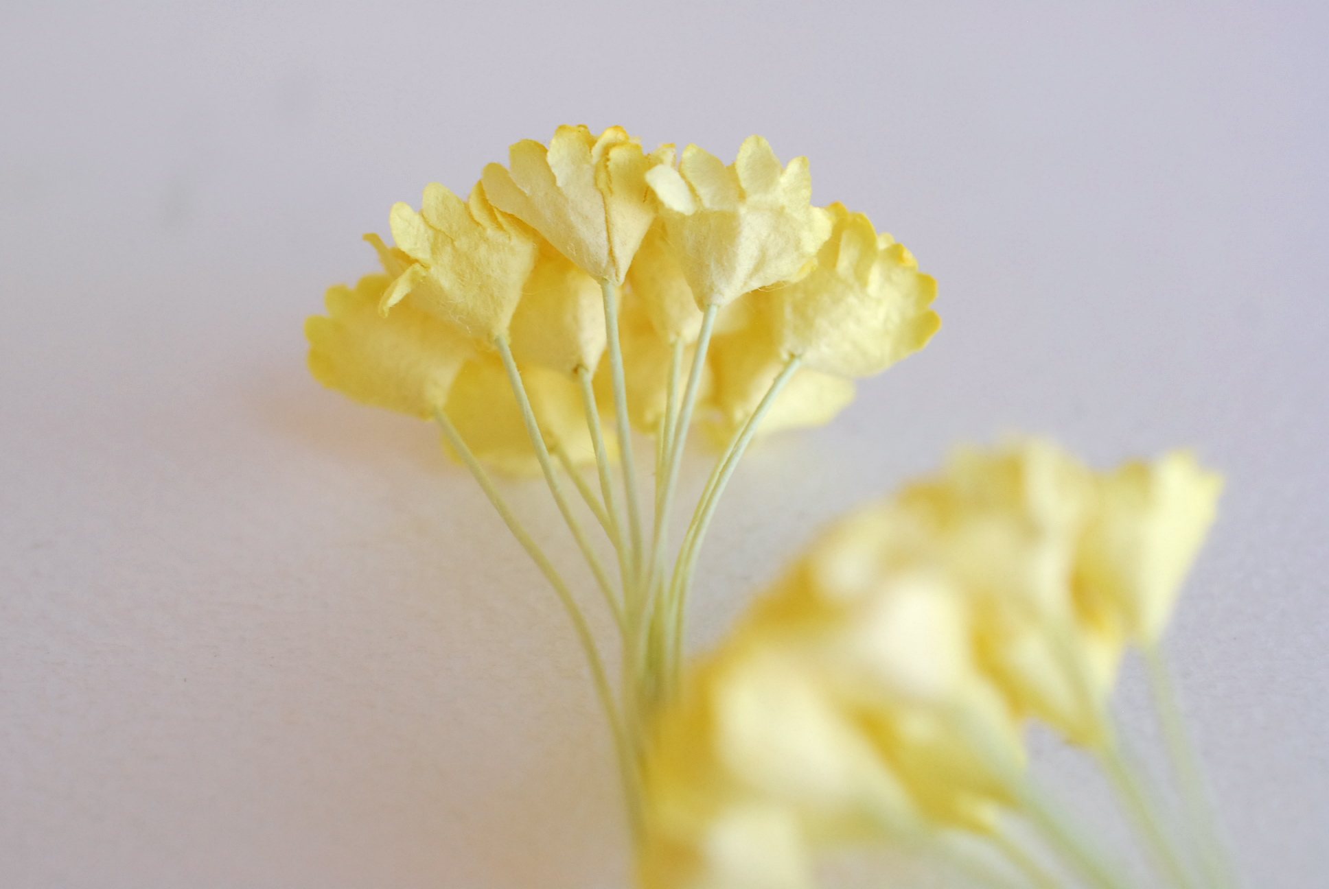 ดอกไม้ประดิษฐ์, ดอกไม้กระดาษสา, ดอก gypsophila, ดอกยิปโซ งานประดิษฐ์ตกแต่งของชำร่วย, ดอกไม้ทำพานพุ่ม, พานรับไหว้, ขนาด 1 cm. สีเหลือง