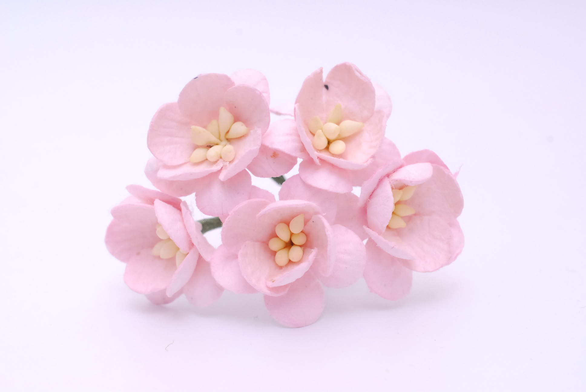 ดอกไม้กระดาษสา ดอกซากุระกระดาษ ดอกไม้กระดาษสาราคาส่ง ดอกไม้กระดาษสำหรับตกแต่งของชำร่วย งานแต่งงาน ทำช่อดอกไม้ติดอกเจ้าบ่าว ข้อมือดอกไม้เจ้าสาว ขนาด2.5 cm. 50 ดอก สีชมพู Paper flowers supplies: DIY wedding tools Cherry blossom (Sakura) 50 pcs. size 2.5 cm.