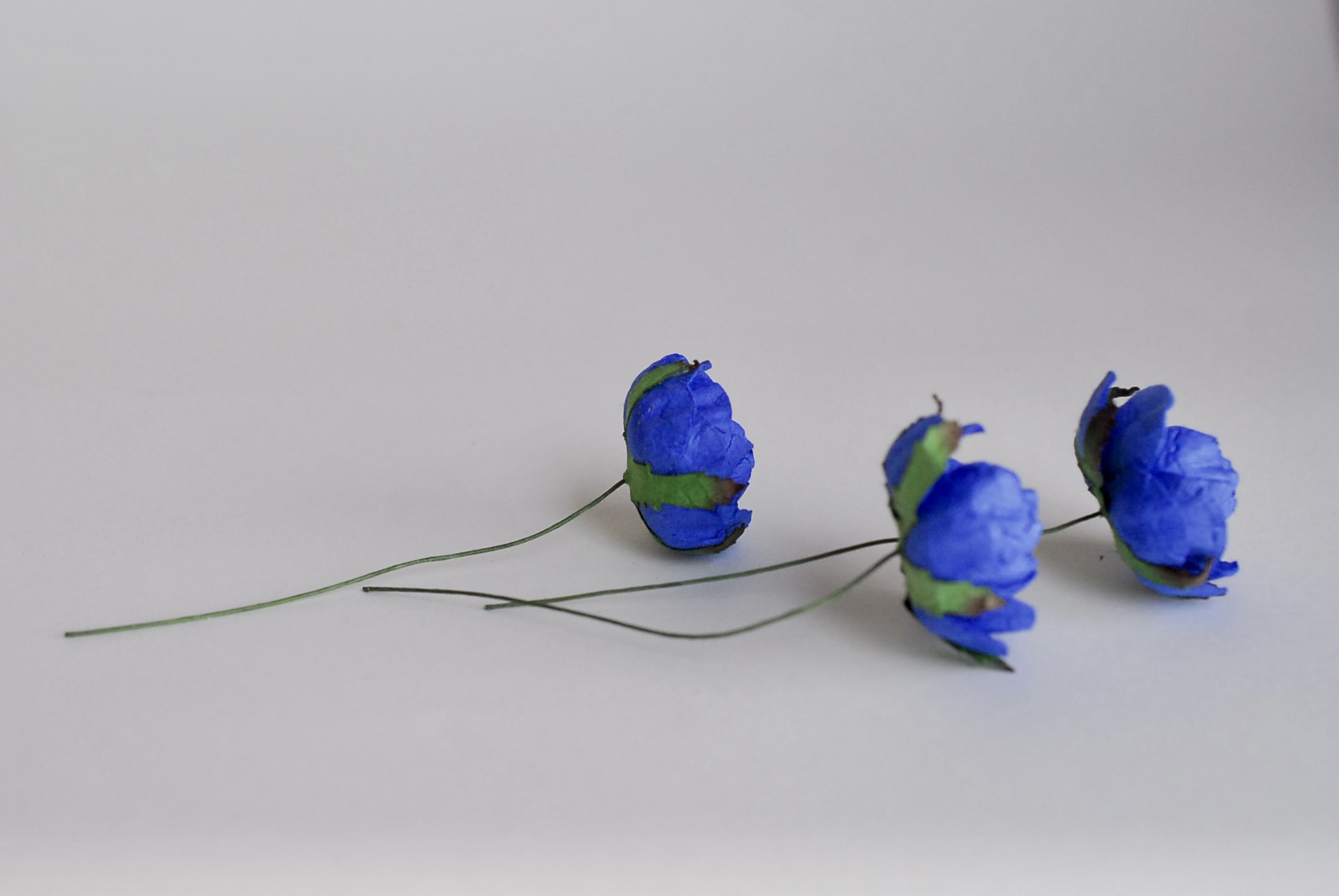 Paper flower, English peony Ranunculus roses 25 pcs., size 3.5 cm., white color. ดอกไม้กระดาษสา ดอกกุหลาบขนาด 3.5 cm. จำนวน 25 ดอก, สีน้ำเงิน ocean blue