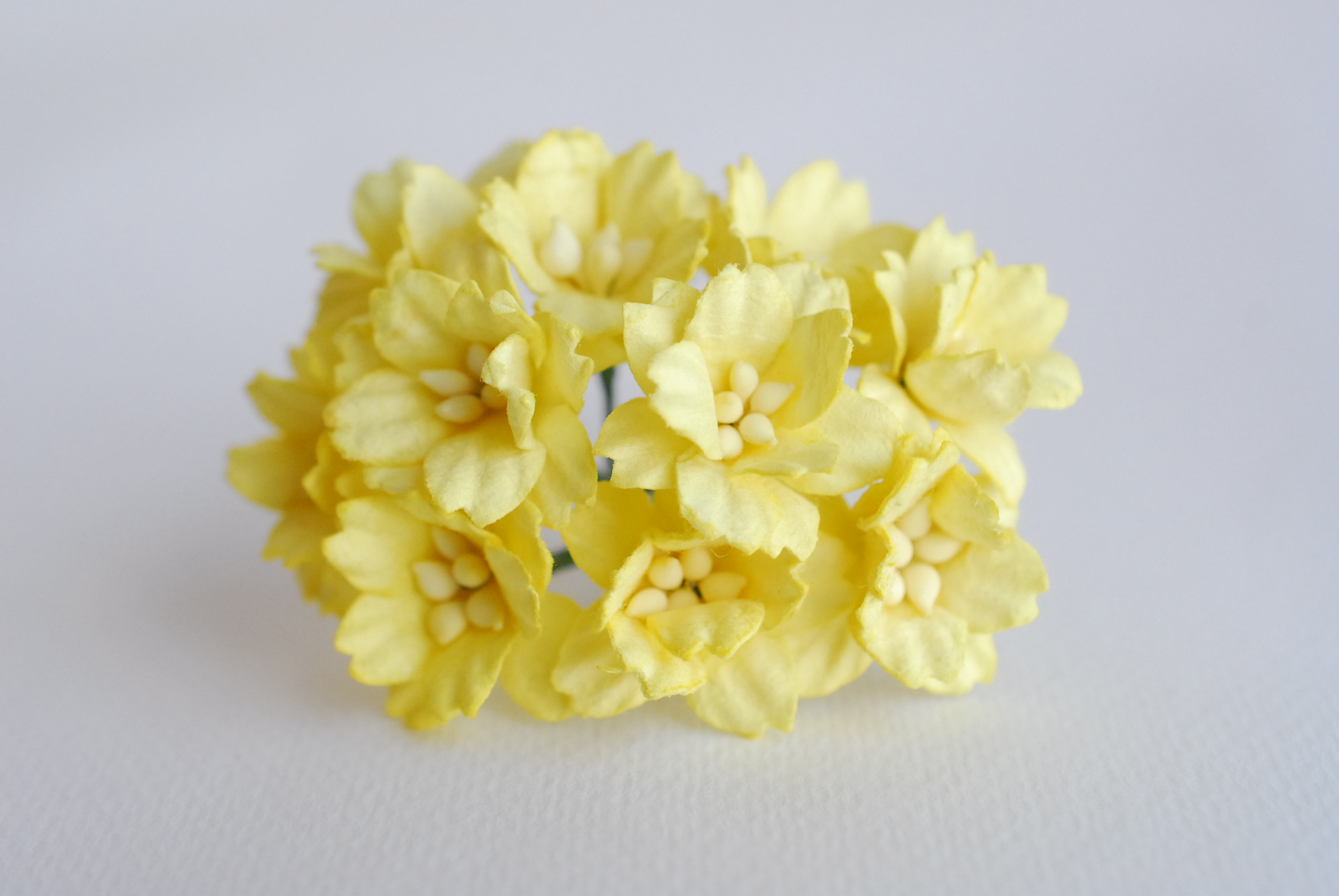 ดอกไม้กระดาษสา ดอกซากุระกระดาษ ขนาดเล็ก ดอกไม้กระดาษสาราคาส่ง ดอกไม้กระดาษสำหรับตกแต่งของชำร่วย งานแต่งงาน ทำช่อดอกไม้ติดอกเจ้าบ่าว ข้อมือดอกไม้เจ้าสาว ขนาด2.0 cm. 50 ดอก สีเหลือง Paper flowers supplies: DIY wedding tools small Cherry blossom (Sakura) 50