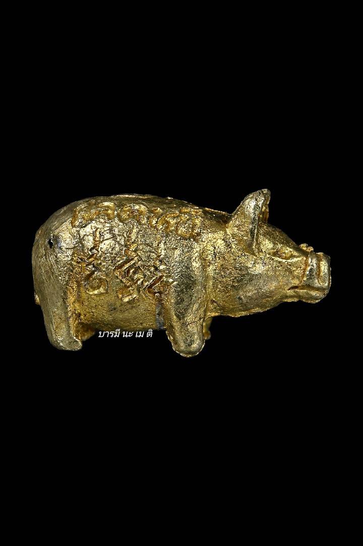 พญาหมู มหาลาภ ปลดหนี้ (ตัวแม่ แยกจากชุด ครอบครัว) เนื้อ : ทองทิพย์