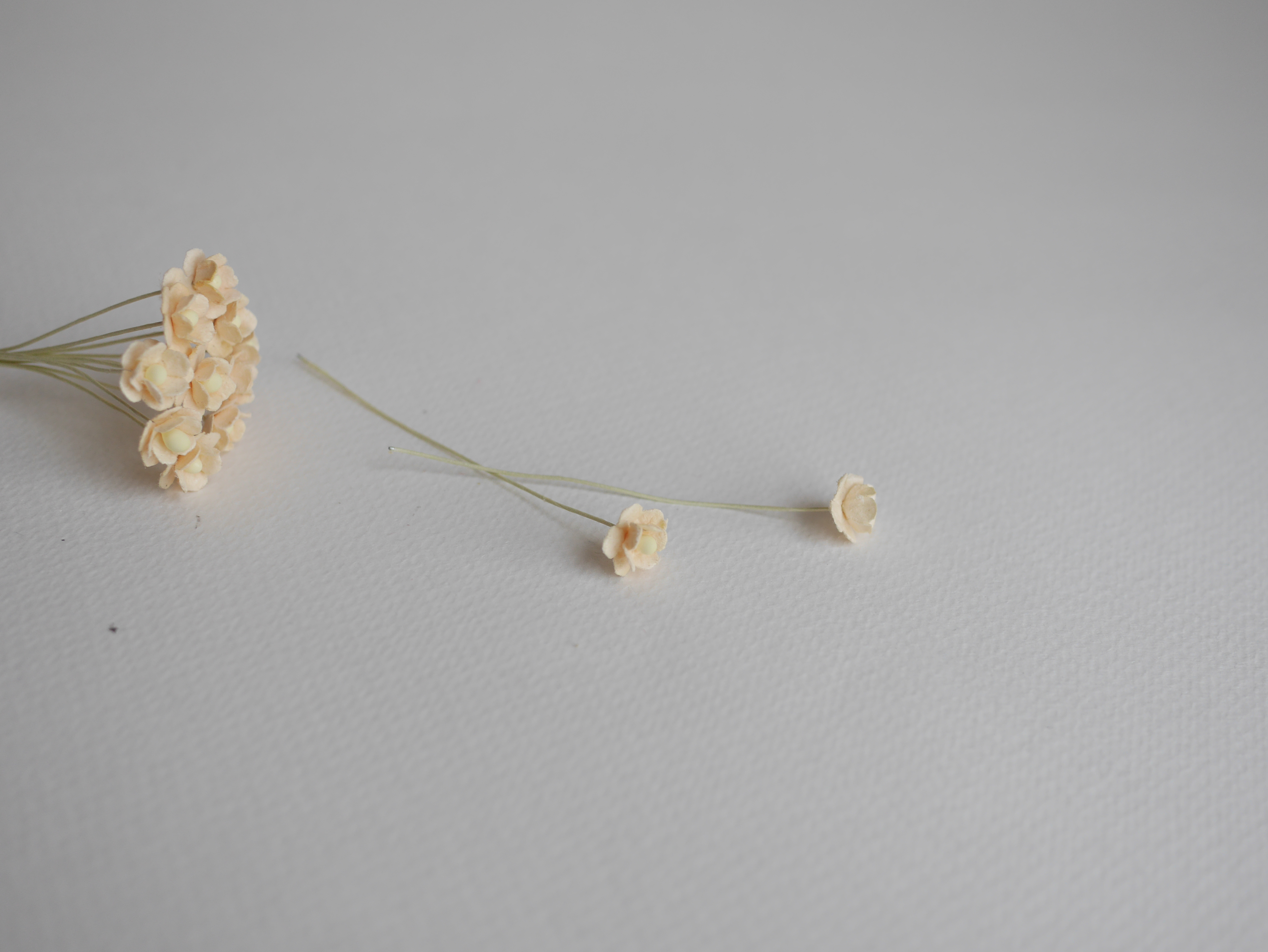 ดอกไม้กระดาษสา ดอกไม้กระดาษสาราคาส่ง ดอกไม้กระดาษสำหรับตกแต่ง งานแต่งงาน หรือติดของชำร่วย ดอก creeping lady 100 ดอก ขนาด 0.8 cm. สีเหลืองไข่อ่อน Small Paper Flower with stem, 100 pcs., size 0.8 cm., creeping flowers 2 layers, soft egg color.