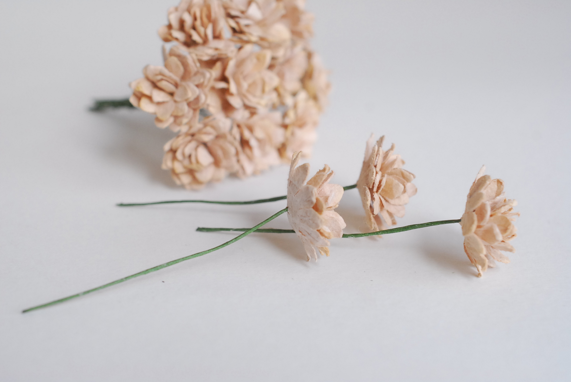 ดอกไม้ประดิษฐ์, ดอกไม้กระดาษสา, ดอก gypsophila, ดอกยิปโซ งานประดิษฐ์ตกแต่งของชำร่วย, ดอกไม้ทำพานพุ่ม,พานพวงมาลัย, พานรับไหว้, ขนาด 2 cm. สีน้ำตาลอ่อน