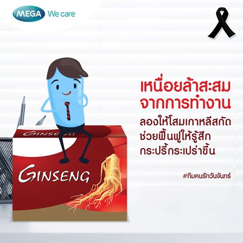 โสมสกัด Mega Ginsomin 20x8 caps. เมก้า จินโซมิน 20x8 แคปซูล.