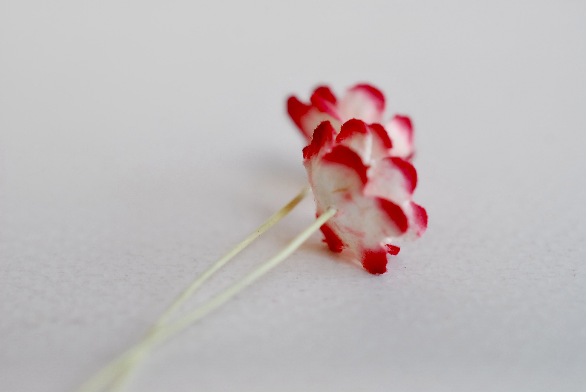 ดอกไม้กระดาษสา ดอกซากุระกระดาษขนาดเล็ก ดอกไม้กระดาษสาราคาส่ง ดอกไม้กระดาษสำหรับตกแต่งของชำร่วย งานแต่งงาน ทำช่อดอกไม้ติดอกเจ้าบ่าว ข้อมือดอกไม้เจ้าสาว ขนาด 1.5 cm. 50 ดอก Paper flowers supplies: DIY wedding tools Small Cherry blossom (Sakura) 50 pcs. size