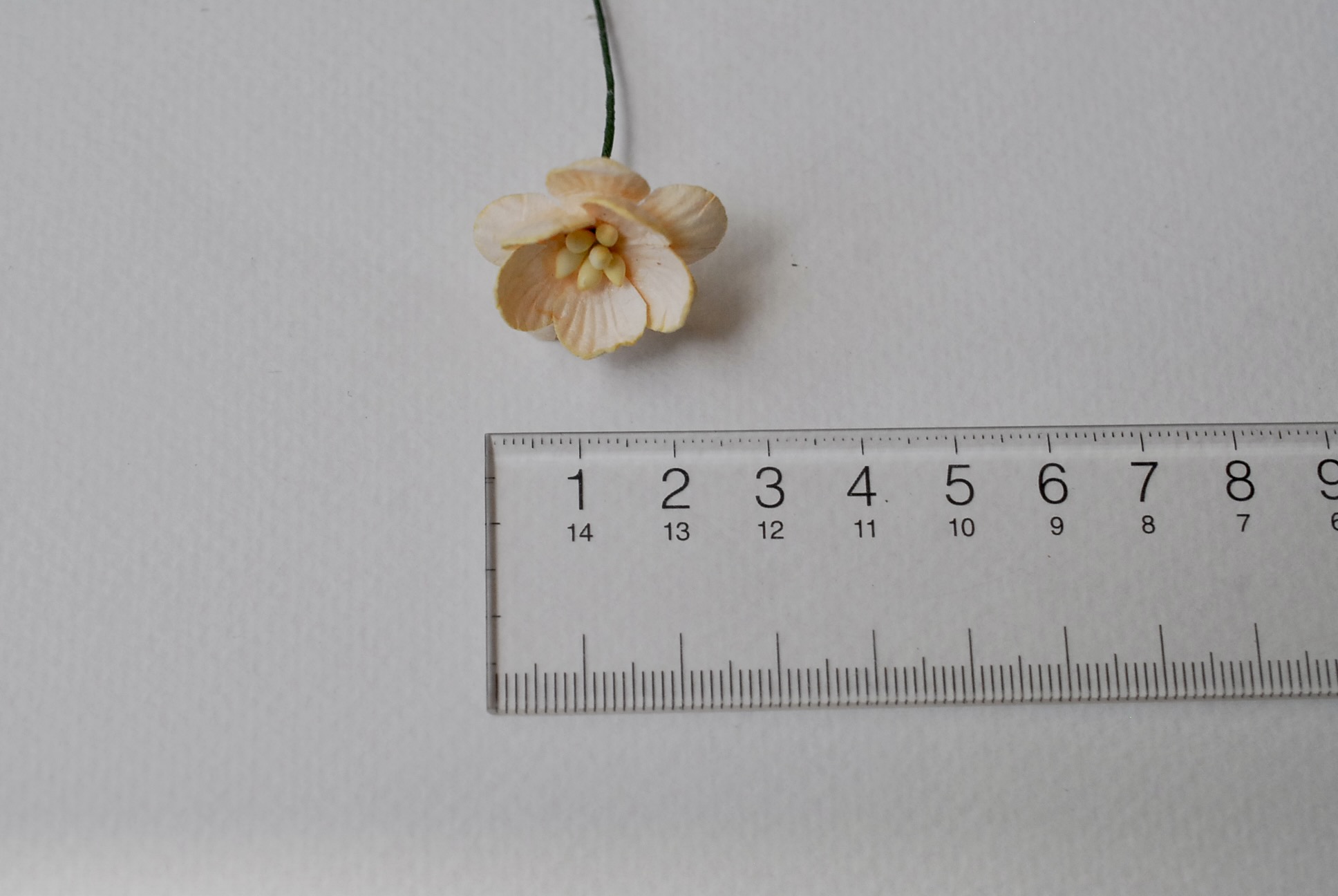 ดอกไม้กระดาษสา ดอกไม้กระดาษสาราคาส่ง ดอกไม้กระดาษสำหรับตกแต่งของชำร่วย งานแต่งงาน ทำช่อดอกไม้ติดอกเจ้าบ่าว ข้อมือดอกไม้เจ้าสาว ขนาด2.5 cm. 50 ดอก สีเบจ Paper flowers supplies: DIY wedding tools Cherry blossom (Sakura) 50 pcs. size 2.5 cm. beige color.