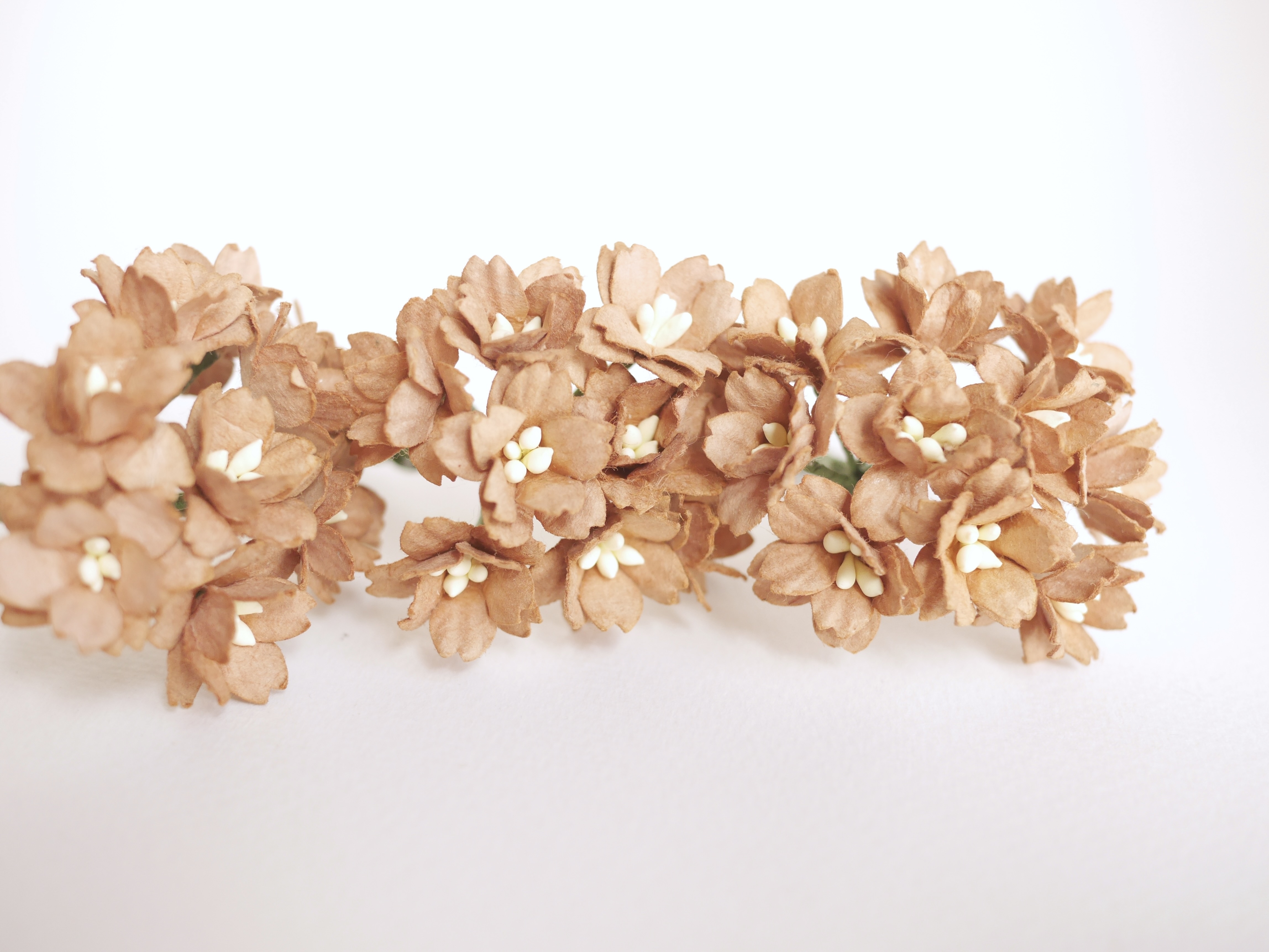 ดอกไม้กระดาษสา ดอกซากุระกระดาษ ขนาดเล็ก ดอกไม้กระดาษสาราคาส่ง ดอกไม้กระดาษสำหรับตกแต่งของชำร่วย งานแต่งงาน ทำช่อดอกไม้ติดอกเจ้าบ่าว ข้อมือดอกไม้เจ้าสาว ขนาด2.0 cm. 50 ดอก สีน้ำตาล Paper flowers supplies: DIY wedding tools small Cherry blossom (Sakura)