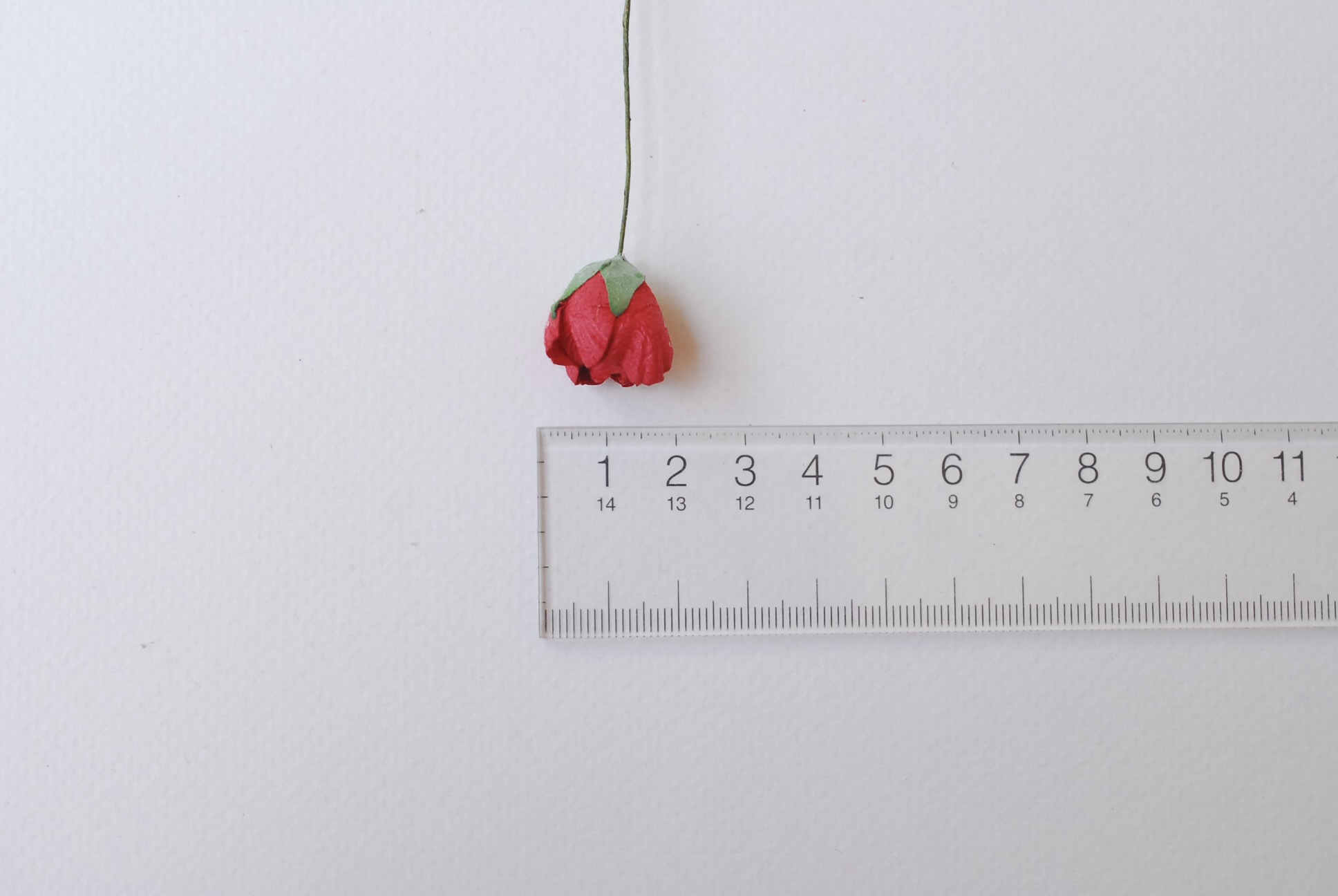 Paper flower, English peony Ranunculus roses50 pcs., size 3.0 cm., red color. ดอกไม้กระดาษสา ดอกกุหลาบขนาด 3.0 cm. จำนวน 25 ดอก, สีแดง