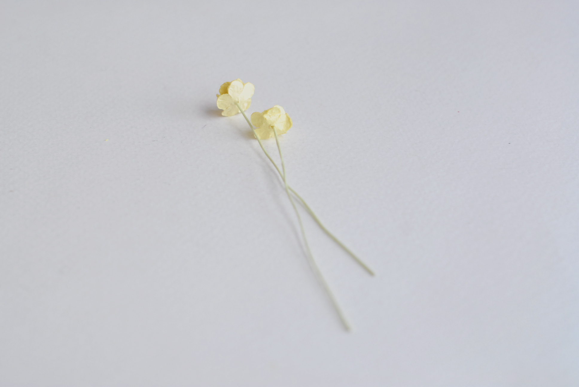 ดอกไม้กระดาษสา ดอกไม้กระดาษสาราคาส่ง ดอกไม้กระดาษสำหรับตกแต่ง งานแต่งงาน หรือติดของชำร่วย ดอก creeping lady 100 ดอก ขนาด 0.8 cm. สีเหลือง Small Paper Flower with stem, 100 pcs., size 0.8 cm., creeping flowers 2 layers, yellow color.