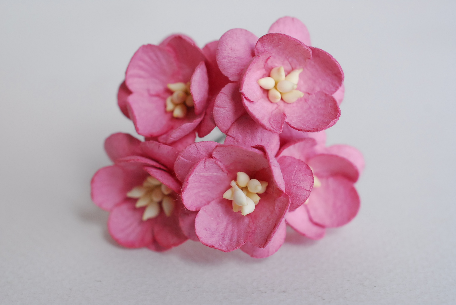 ดอกไม้กระดาษสา ดอกซากุระกระดาษ ดอกโบตั๋น ดอกไม้กระดาษสาราคาส่ง ดอกไม้กระดาษสำหรับตกแต่งของชำร่วย งานแต่งงาน ทำช่อดอกไม้ติดอกเจ้าบ่าว ข้อมือดอกไม้เจ้าสาว ขนาด2.5 cm. 50 ดอก Paper flowers supplies: DIY wedding tools Cherry blossom (Sakura) 50 pcs. size 2.5