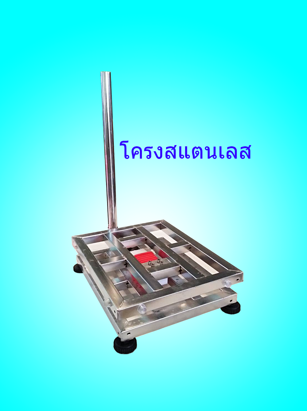 แท่นชั่งน้ำหนัก รุ่น WI-P (หัวอ่านที่มีปริ้นท์เตอร์ในตัว) ปรินเตอร์เป็นแบบ DOT MATRIX โครงแท่นเหล็กและสแตนเลส