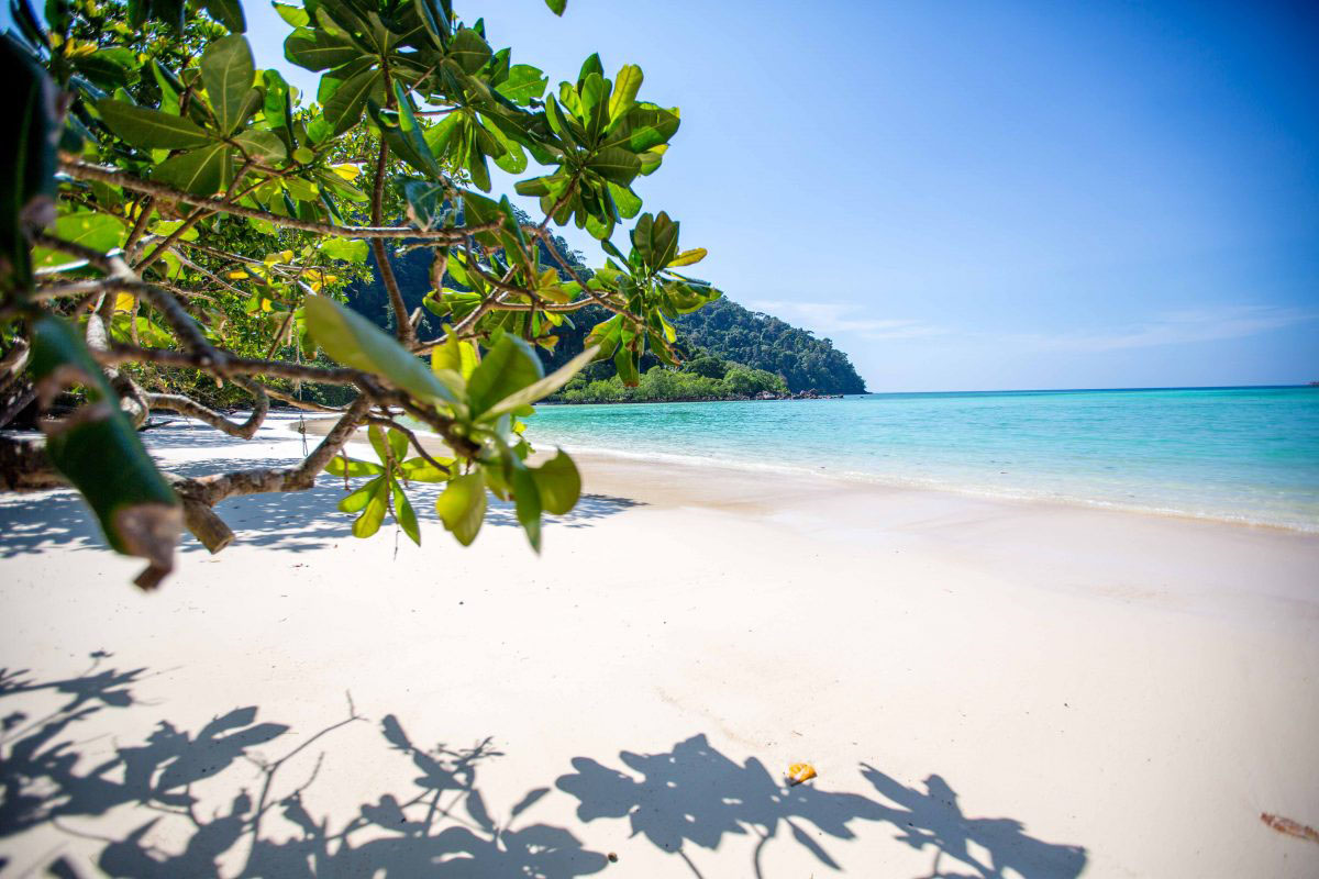 ทัวร์เกาะสุรินทร์ 1 วัน เรือสปีดโบ๊ท Surin Islands Day trip by Speedboat