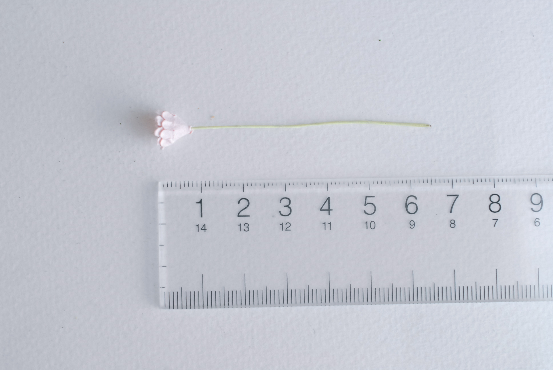 ดอกไม้ประดิษฐ์, ดอกไม้กระดาษสา, ดอก gypsophila, ดอกยิปโซ งานประดิษฐ์ตกแต่งของชำร่วย, ดอกไม้ทำพานพุ่ม, พานรับไหว้, ขนาด 1 cm. สีชมพูอ่อน