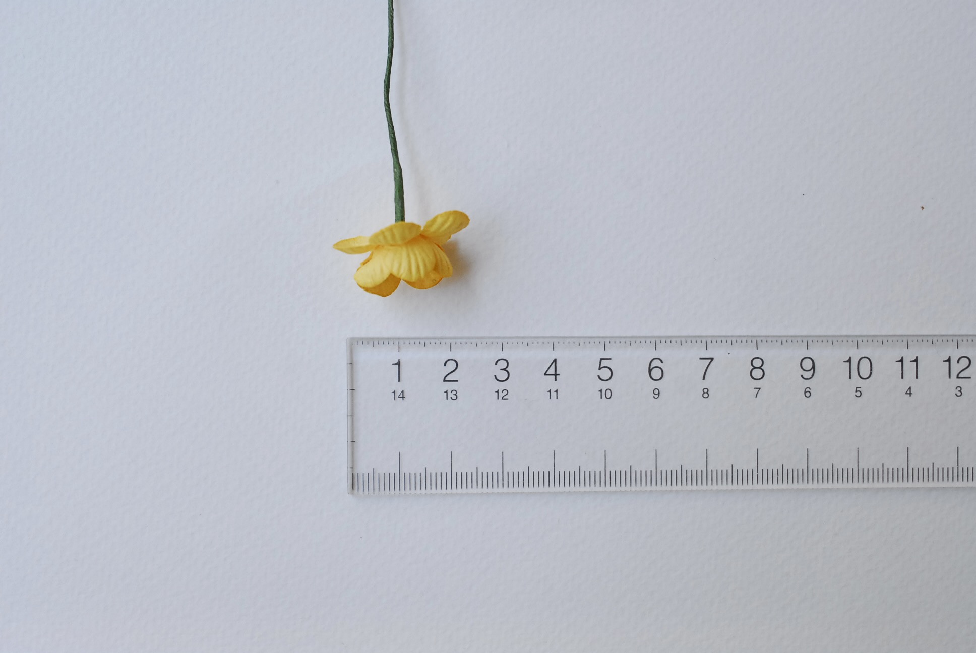 ดอกไม้กระดาษสา ดอกซากุระกระดาษ ขนาดเล็ก ดอกไม้กระดาษสาราคาส่ง ดอกไม้กระดาษสำหรับตกแต่งของชำร่วย งานแต่งงาน ทำช่อดอกไม้ติดอกเจ้าบ่าว ข้อมือดอกไม้เจ้าสาว ขนาด2.0 cm. 50 ดอก สีเหลืองกลาง Paper flowers supplies: DIY wedding tools small Cherry blossom (Sakura)