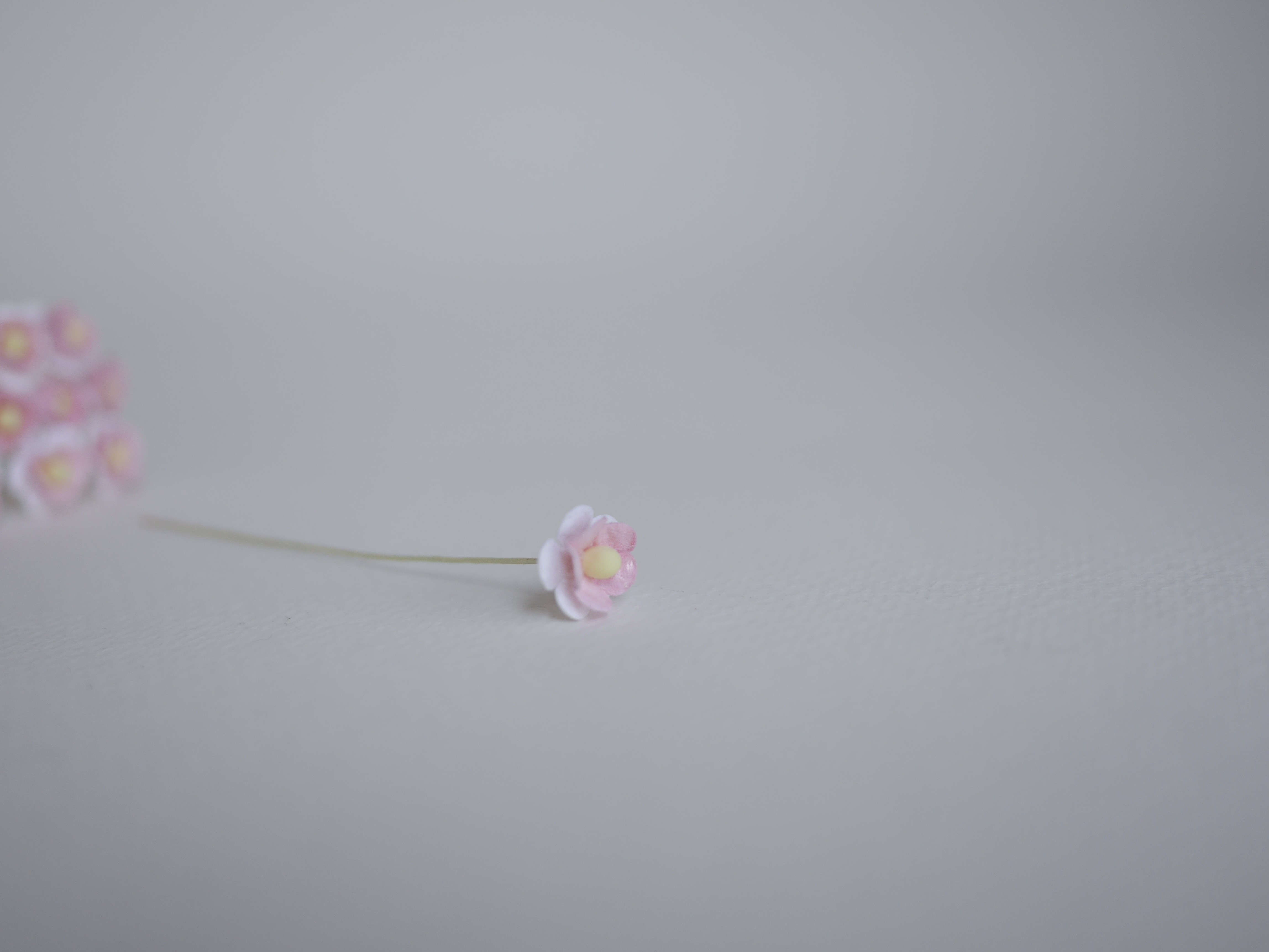 ดอกไม้กระดาษสา ดอกไม้กระดาษสาราคาส่ง ดอกไม้กระดาษสำหรับตกแต่ง งานแต่งงาน หรือติดของชำร่วย ดอก creeping lady 100 ดอก ขนาด 0.8 cm. สีชมพู-ขาว 2สี Small Paper Flower with stem, 100 pcs., size 0.8 cm., creeping flowers 2 layers, pink-white 2tone color