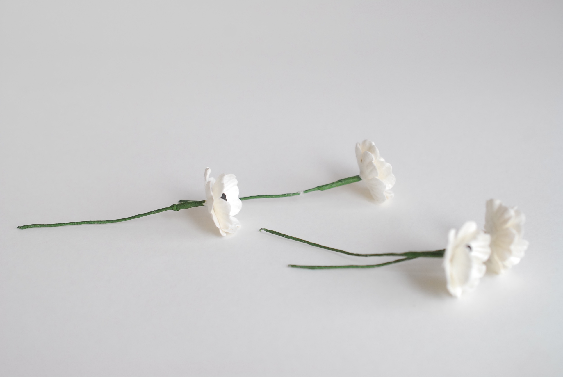 ดอกไม้กระดาษสา ดอกไม้กระดาษสา จตุจักร งานประดิษฐ์ ดอกไม้ทำข้อมือเพื่อนเจ้าสาว แต่งงาน,Red Poppy, ดอกไม้กระดาษ poppy สีขาว ขนาด 2.00 cm. paper flowers, Poppy flowers 2.00 cm. 50 pieces. white color.