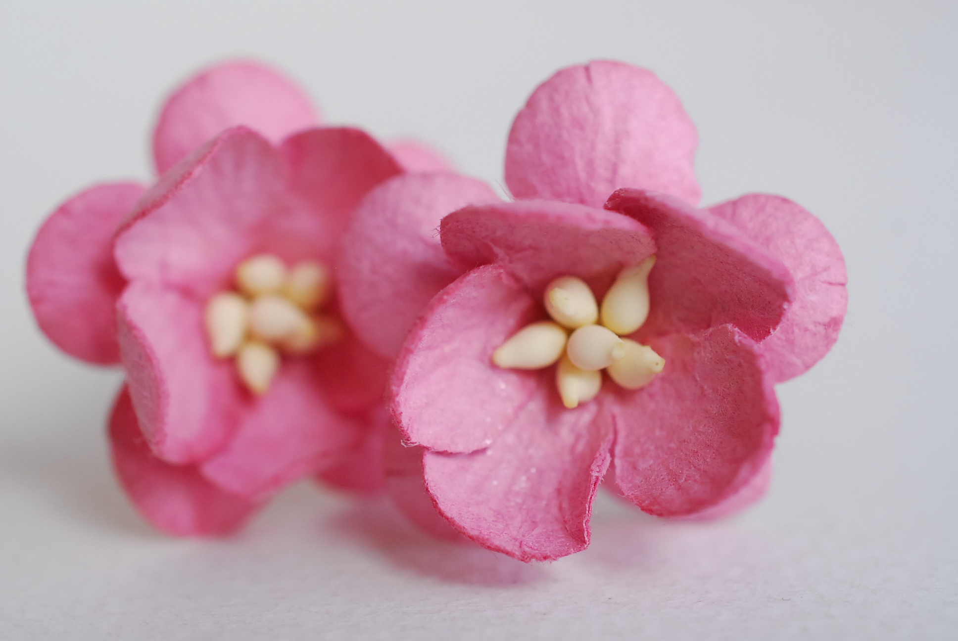 ดอกไม้กระดาษสา ดอกซากุระกระดาษ ดอกโบตั๋น ดอกไม้กระดาษสาราคาส่ง ดอกไม้กระดาษสำหรับตกแต่งของชำร่วย งานแต่งงาน ทำช่อดอกไม้ติดอกเจ้าบ่าว ข้อมือดอกไม้เจ้าสาว ขนาด2.5 cm. 50 ดอก Paper flowers supplies: DIY wedding tools Cherry blossom (Sakura) 50 pcs. size 2.5