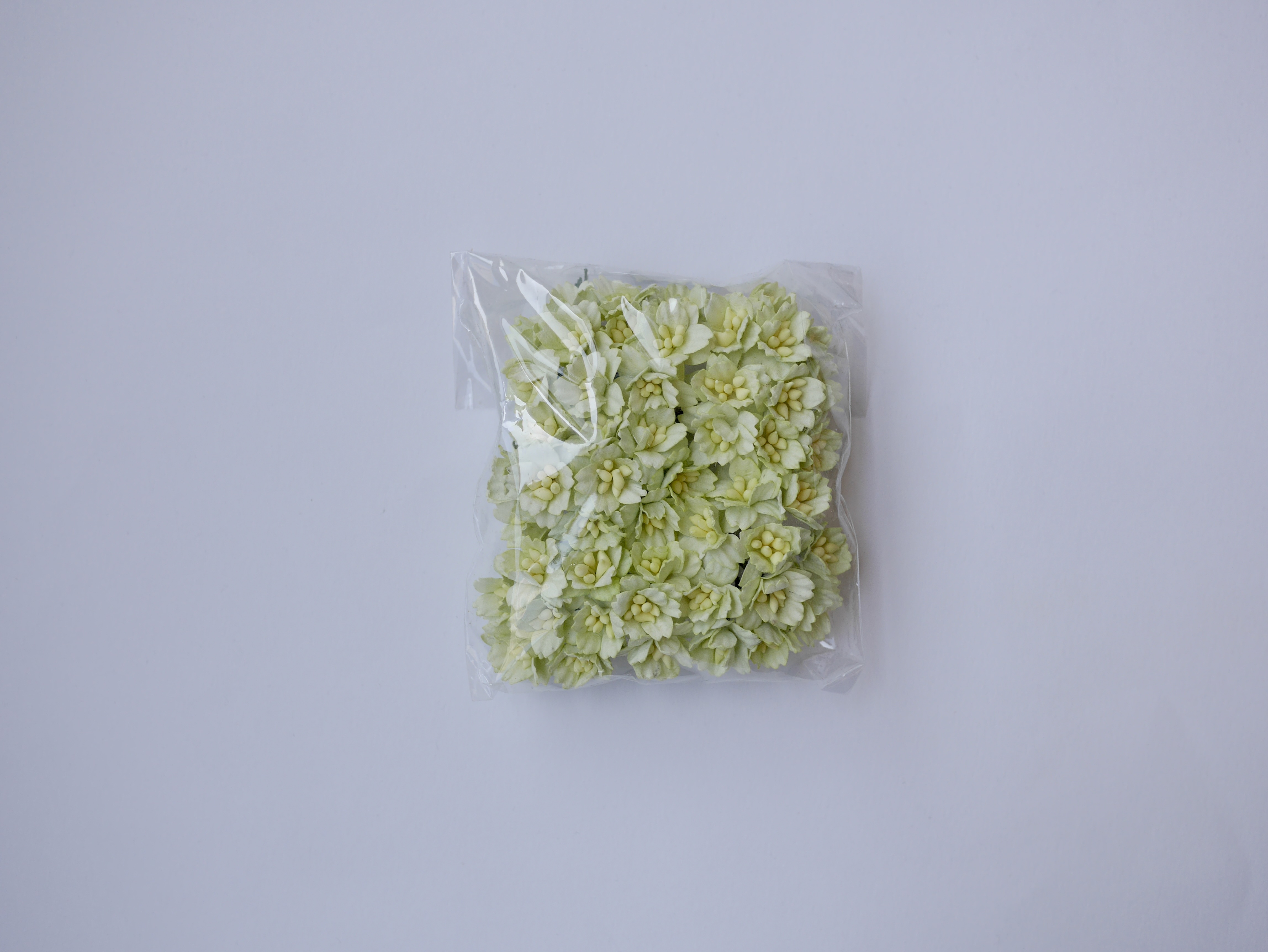 ดอกไม้กระดาษสา ดอกซากุระกระดาษ ขนาดเล็ก ดอกไม้กระดาษสาราคาส่ง ดอกไม้กระดาษสำหรับตกแต่งของชำร่วย งานแต่งงาน ทำช่อดอกไม้ติดอกเจ้าบ่าว ข้อมือดอกไม้เจ้าสาว ขนาด 2.0 cm. 50 ดอก สีเขียวพาสเทลอ่อน Paper flowers supplies: DIY wedding tools small Cherry blossom pa