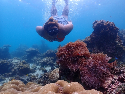 อันดับ 1 ทัวร์เกาะพีพี อ่าวมาหยา อ่าวปิเละ เกาะไข่ เรือสปีดโบ๊ท Phi Phi Island Khai Island - Maya Bay - Pileh Lagoon