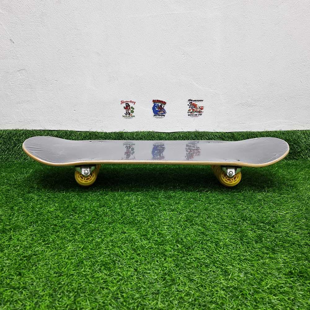 [0202][ลด50%] สเก็ตบอร์ด LanSki FLOWBOARD SKATE สำหรับโปรสเก็ต
