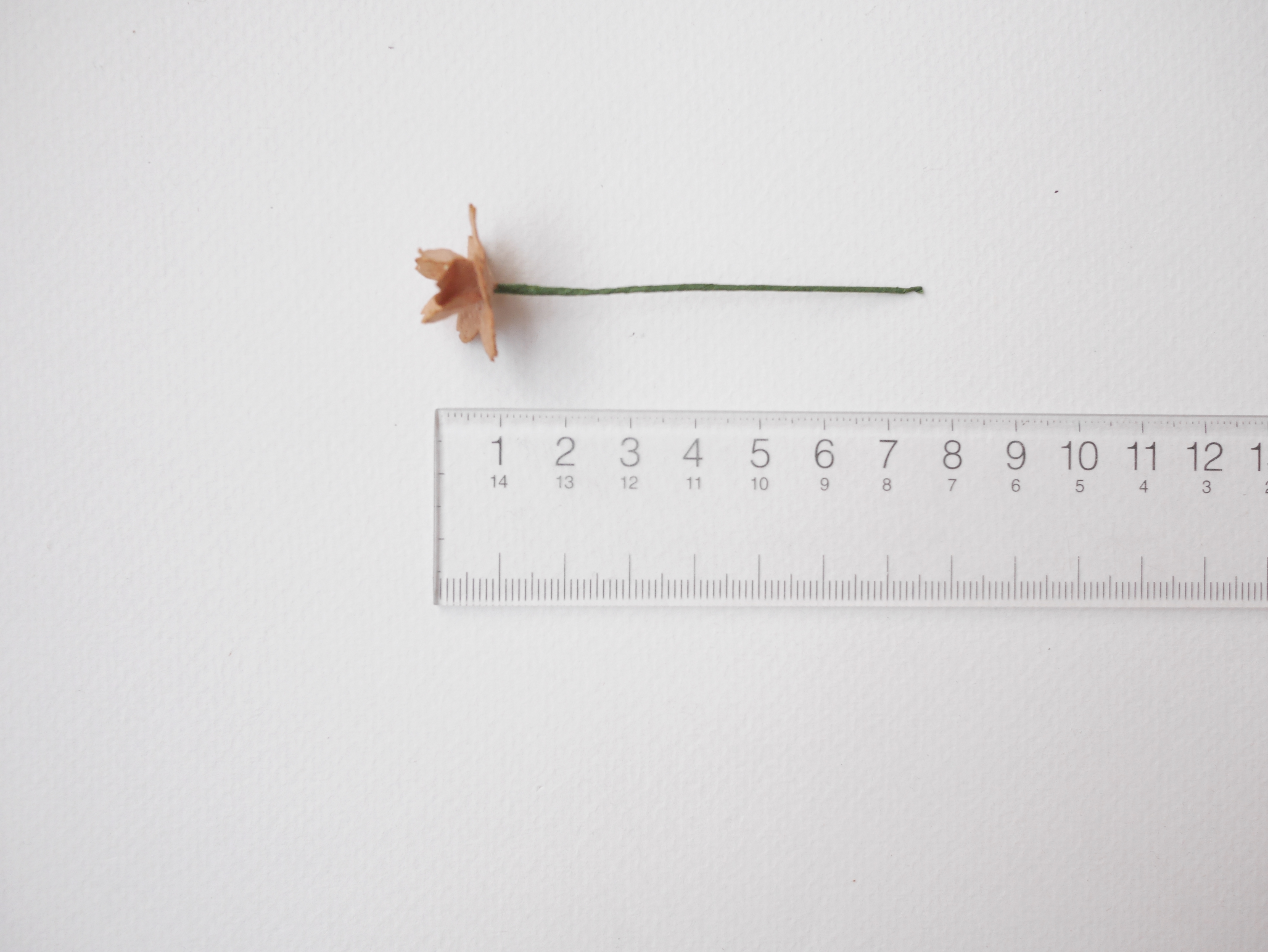 ดอกไม้กระดาษสา ดอกซากุระกระดาษ ขนาดเล็ก ดอกไม้กระดาษสาราคาส่ง ดอกไม้กระดาษสำหรับตกแต่งของชำร่วย งานแต่งงาน ทำช่อดอกไม้ติดอกเจ้าบ่าว ข้อมือดอกไม้เจ้าสาว ขนาด2.0 cm. 50 ดอก สีน้ำตาล Paper flowers supplies: DIY wedding tools small Cherry blossom (Sakura)