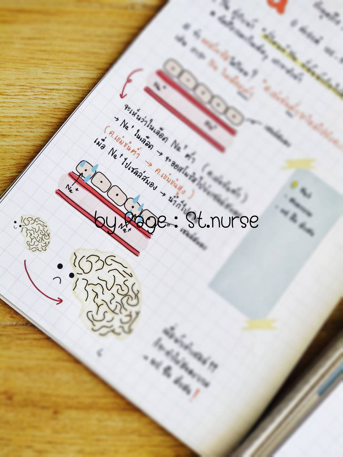 shortnote ผู้ใหญ่ Part2