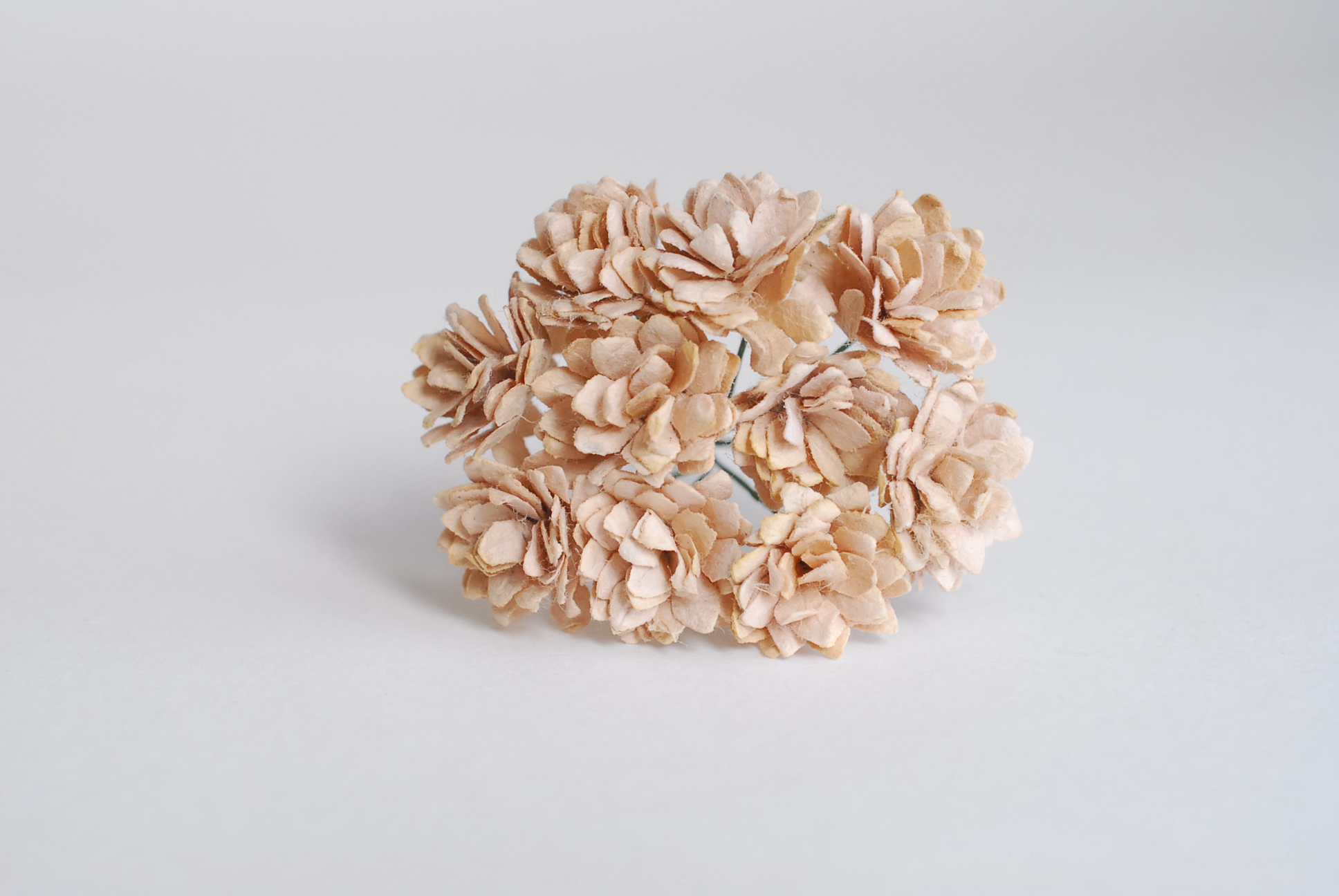 ดอกไม้ประดิษฐ์, ดอกไม้กระดาษสา, ดอก gypsophila, ดอกยิปโซ งานประดิษฐ์ตกแต่งของชำร่วย, ดอกไม้ทำพานพุ่ม,พานพวงมาลัย, พานรับไหว้, ขนาด 2 cm. สีน้ำตาลอ่อน