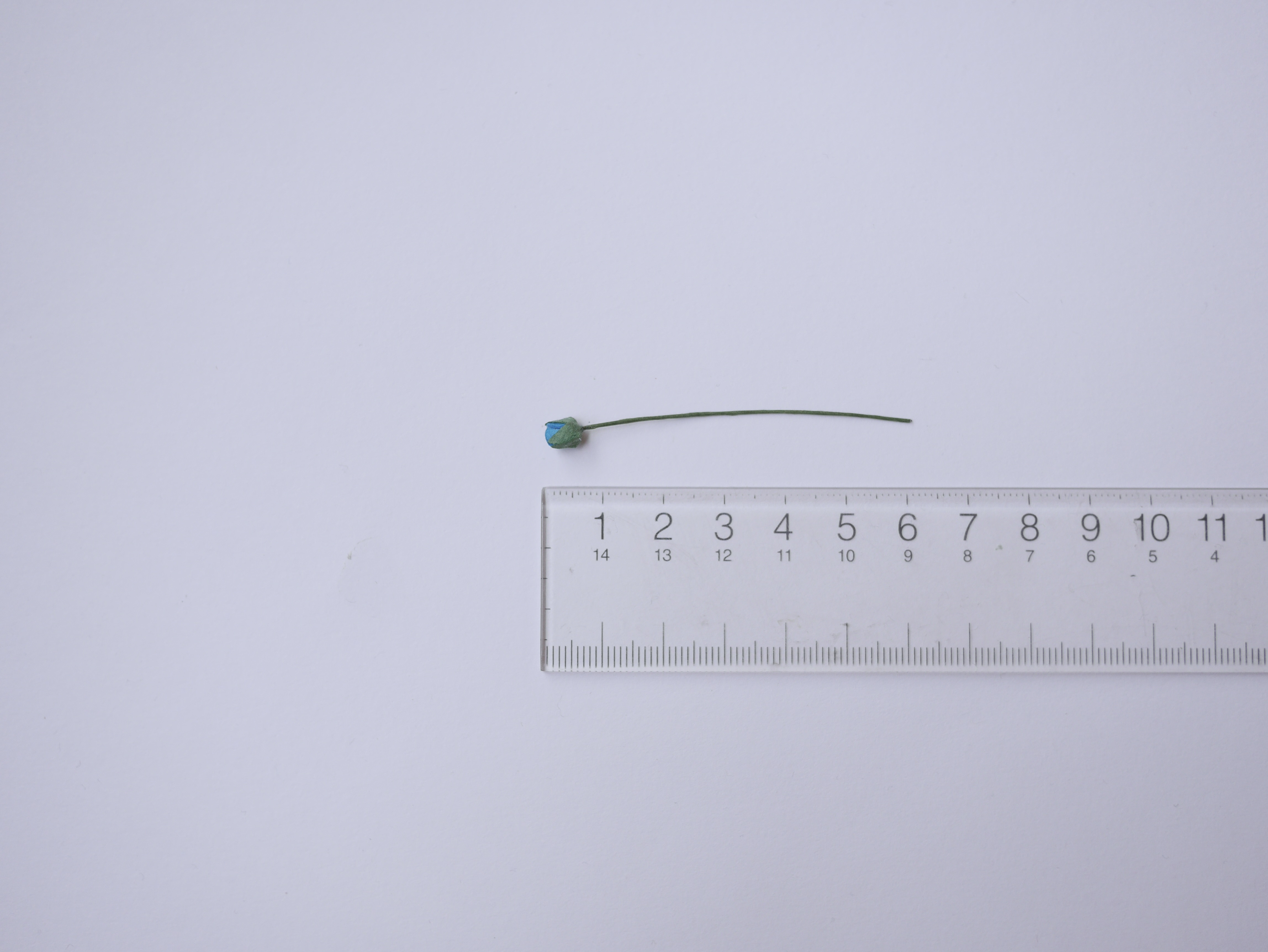 ดอกไม้กระดาษสา ดอกไม้กระดาษสา จตุจักร งานประดิษฐ์ ดอกไม้ทำข้อมือเพื่อนเจ้าสาว แต่งงาน, ดอกกุหลาบตูมจิ๋ว 100 ดอก สีน้ำเงินน้ำทะเล ขนาด 0.3x0.5 cm. paper flowers, budding roses flower 0.5x0.8 cm. 100 pieces. blue aqua color.