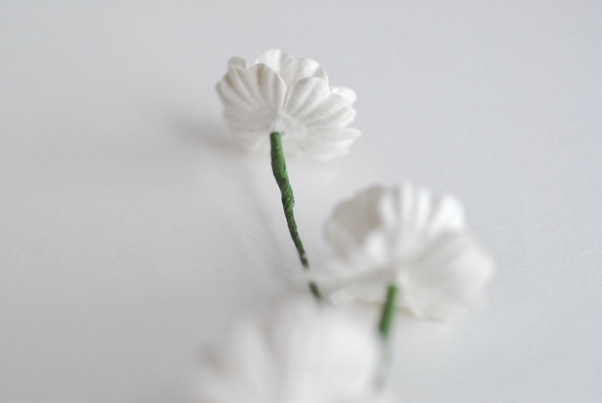 ดอกไม้กระดาษสา ดอกไม้กระดาษสา จตุจักร งานประดิษฐ์ ดอกไม้ทำข้อมือเพื่อนเจ้าสาว แต่งงาน,Red Poppy, ดอกไม้กระดาษ poppy สีขาว ขนาด 2.00 cm. paper flowers, Poppy flowers 2.00 cm. 50 pieces. white color.