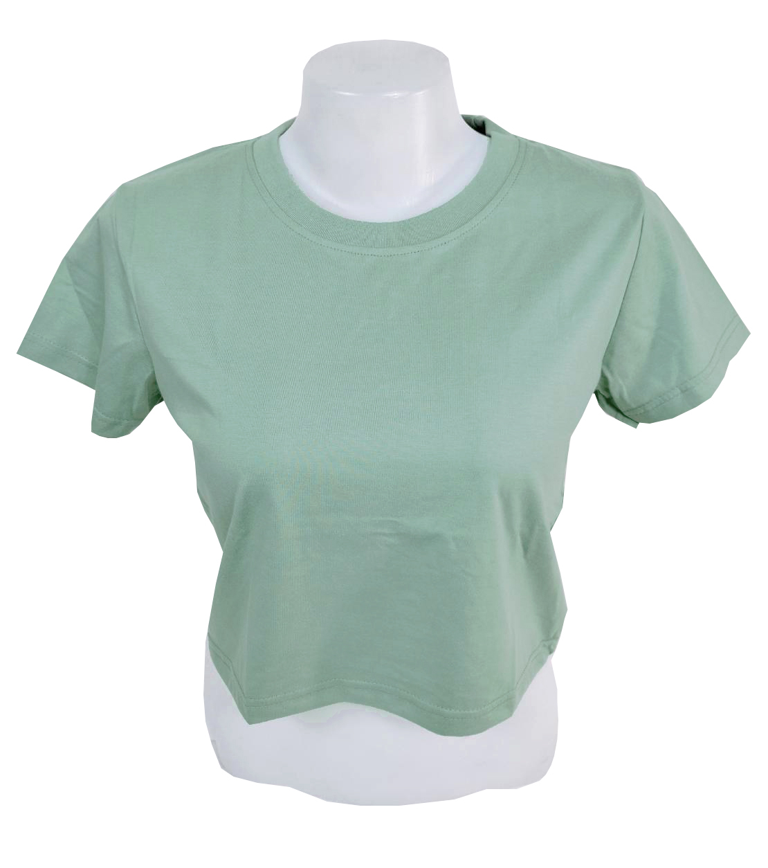 เสื้อยืดทรงครอป สีเขียวพาสเทลเข้ม พร้อมส่ง