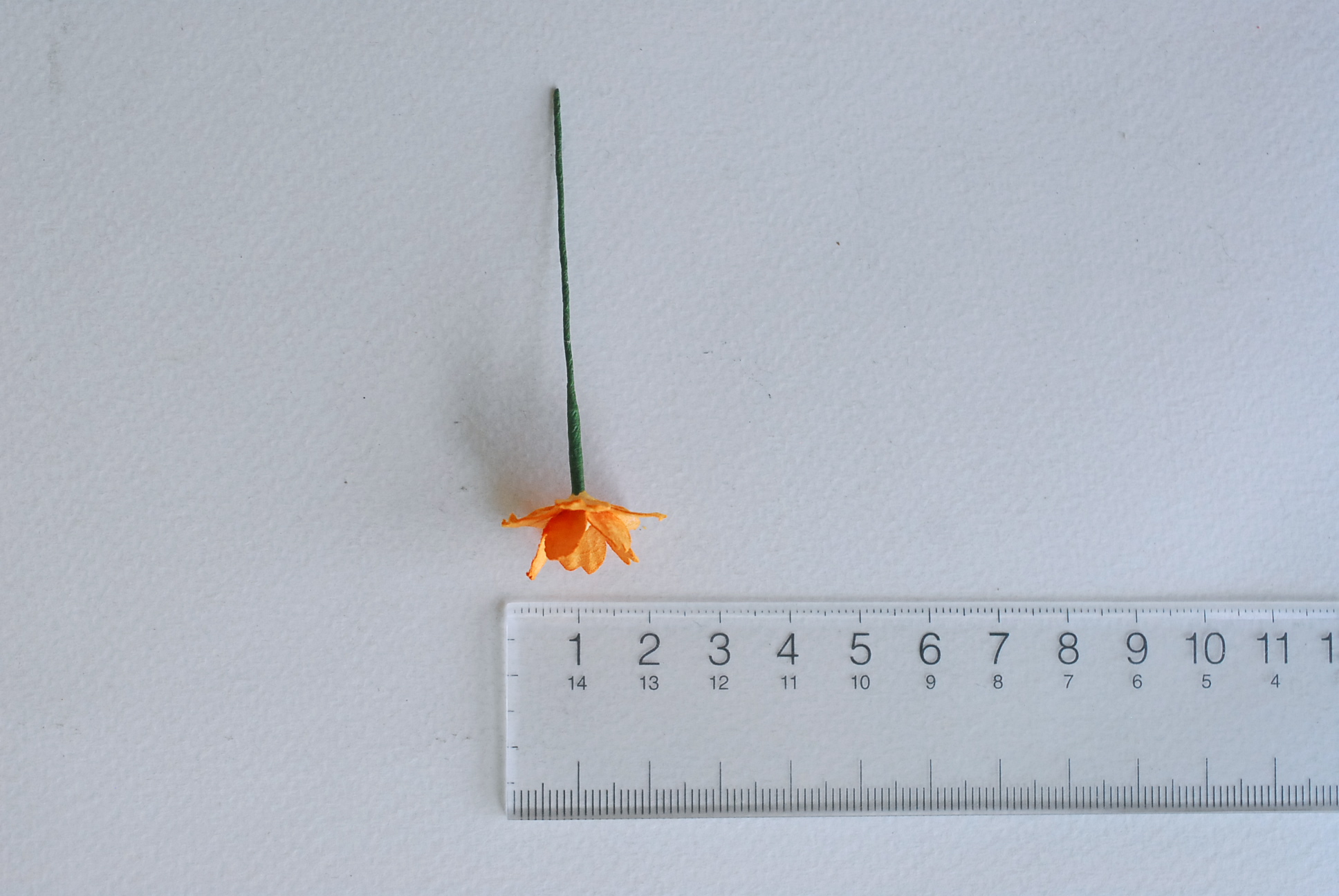 ดอกไม้กระดาษสา ดอกซากุระกระดาษ ขนาดเล็ก ดอกไม้กระดาษสาราคาส่ง ดอกไม้กระดาษสำหรับตกแต่งของชำร่วย งานแต่งงาน ทำช่อดอกไม้ติดอกเจ้าบ่าว ข้อมือดอกไม้เจ้าสาว ขนาด2.0 cm. 50 ดอก สีส้ม Paper flowers supplies: DIY wedding tools small Cherry blossom (Sakura) 50 pcs