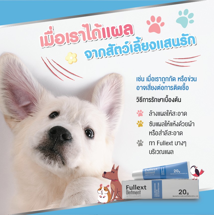 FULLEXT OINTMENT 20 กรัม ฟูลเล็กท์ ออนท์เมนท์ ขี้ผึ้งทาแผลกดทับ แผลเบาหวาน
