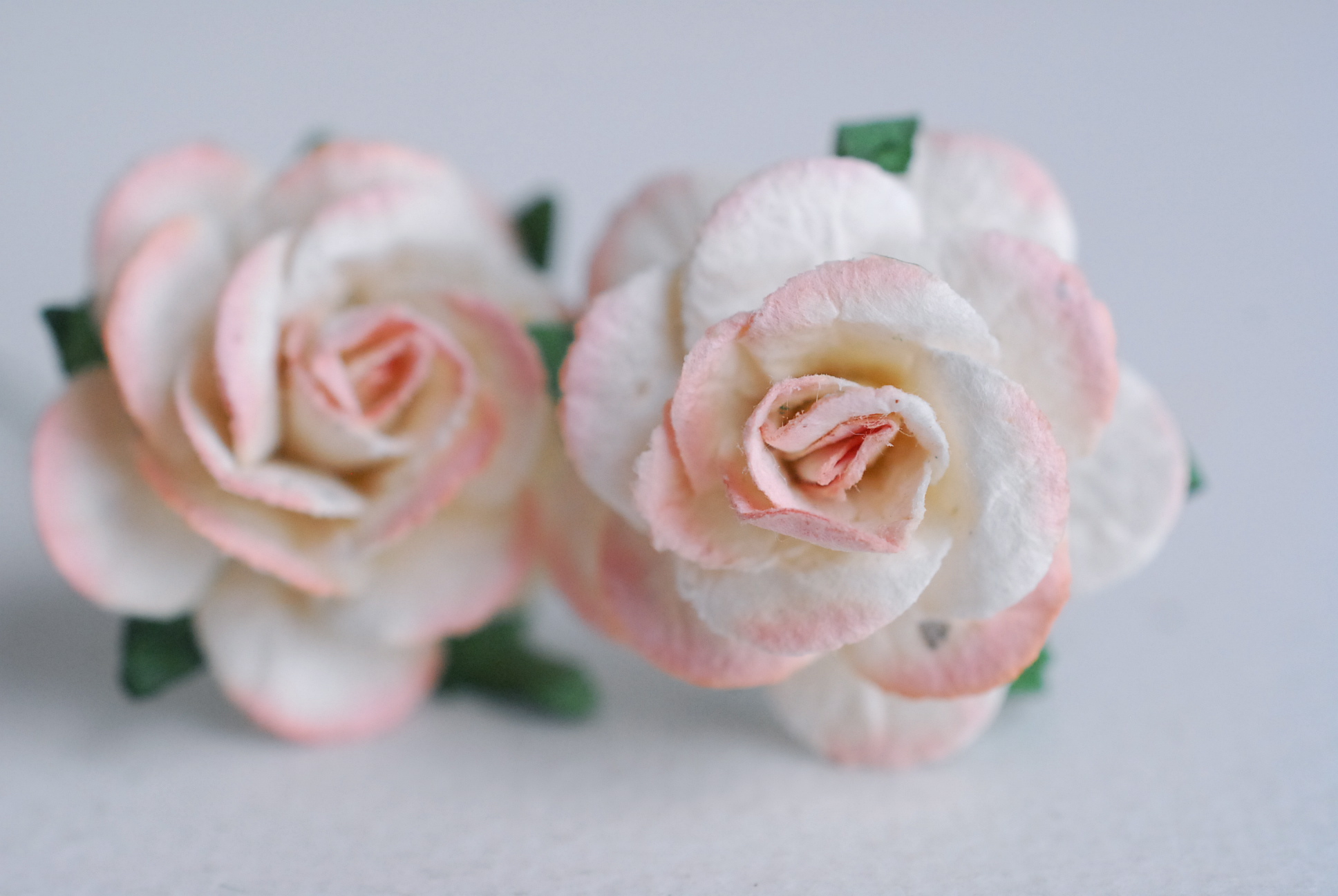 ดอกไม้กระดาษสา ดอกไม้กุหลาบกระดาษ ราคาส่ง, ดอกกุหลาบจิ๋ว ดอกกุหลาบกระดาษสา ดอกไม้ประดิษฐ์ สำหรับตกแต่งของชำร่วย หรืองานแต่งงาน สีpeachอ่อน (light peach brush) ปัดขาวขนาด 2.5 cm. จำนวน 50 ดอก