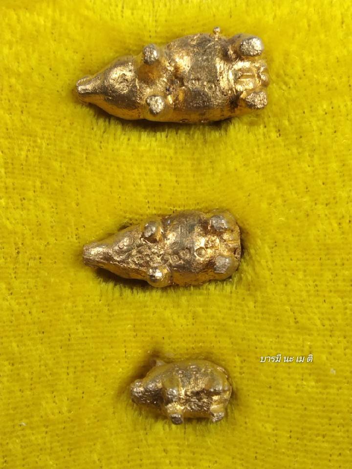 พญาหมู มหาลาภ ปลดหนี้ (ครอบครัว พ่อ แม่ ลูก) เนื้อ : ทองทิพย์