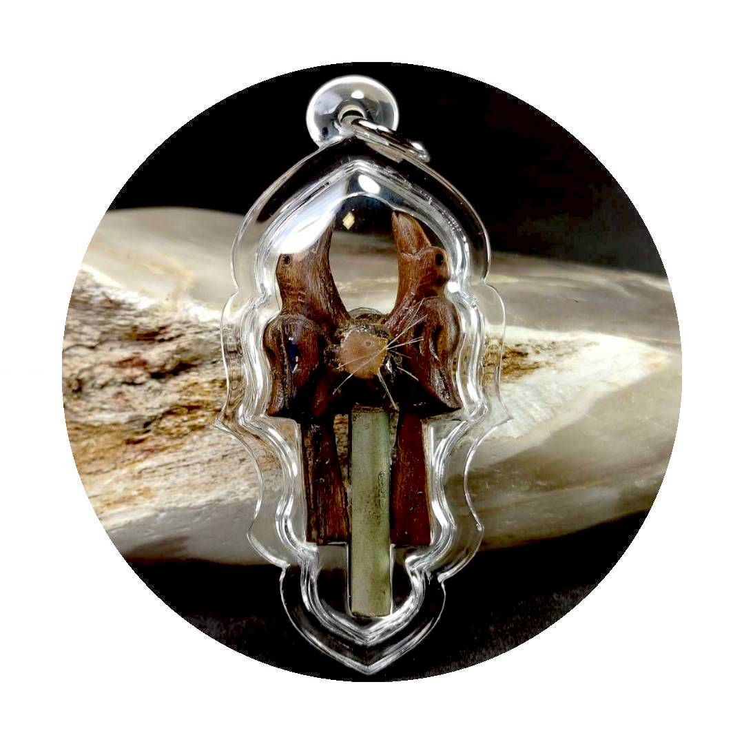 สาริกาไม้มะยม หลวงปู่หงษ์ พรหมปัญโญ