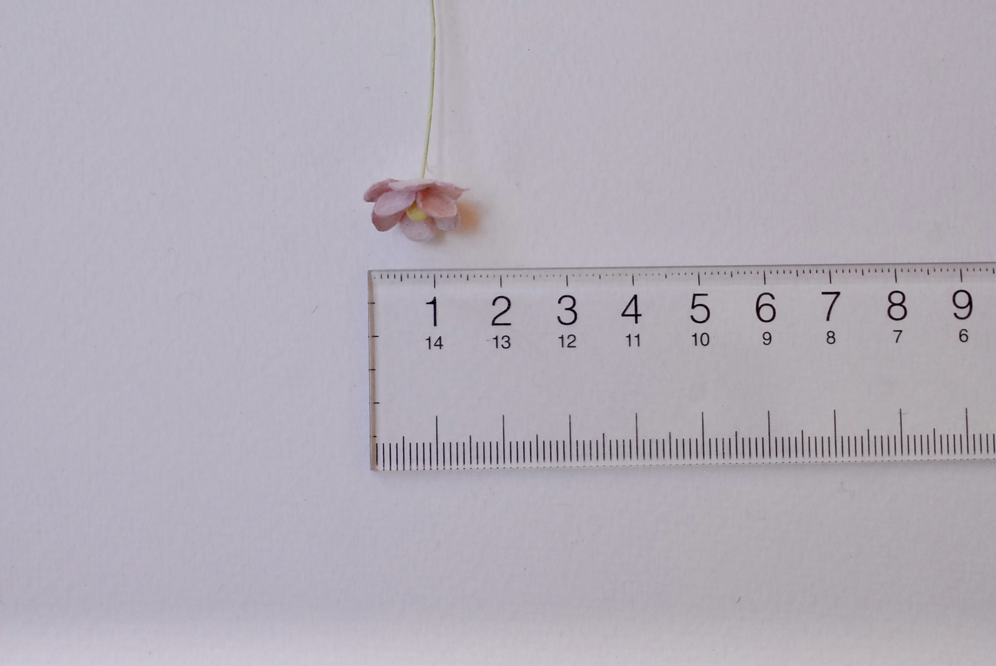 ดอกไม้กระดาษสา ราคาส่ง, ดอกไฮเดรนเยียกระดาษสา ดอกไม้ประดิษฐ์ ตกแต่งงาน ประดิษฐ์ข้อมือ เพื่อนเจ้าสาว ขนาด 1.5 cm., สำหรับของชำร่วย, งานแต่งงาน, ดอกไม้ทำข้อมือเจ้าสาว สีม่วงชมพูอ่อน จำนวน 100 ดอก Paper flower,100 Pieces mulberry hydenyia, plum-pink color.