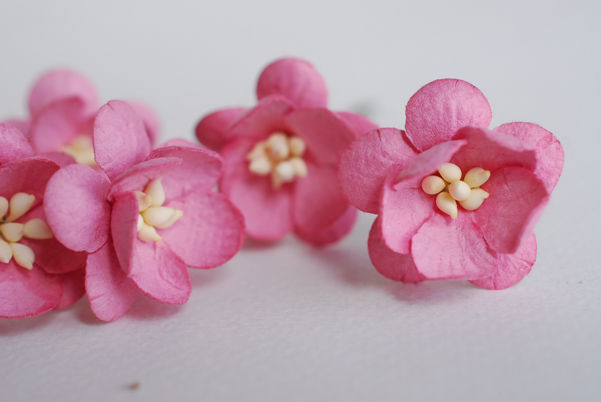 ดอกไม้กระดาษสา ดอกซากุระกระดาษ ดอกโบตั๋น ดอกไม้กระดาษสาราคาส่ง ดอกไม้กระดาษสำหรับตกแต่งของชำร่วย งานแต่งงาน ทำช่อดอกไม้ติดอกเจ้าบ่าว ข้อมือดอกไม้เจ้าสาว ขนาด2.5 cm. 50 ดอก Paper flowers supplies: DIY wedding tools Cherry blossom (Sakura) 50 pcs. size 2.5