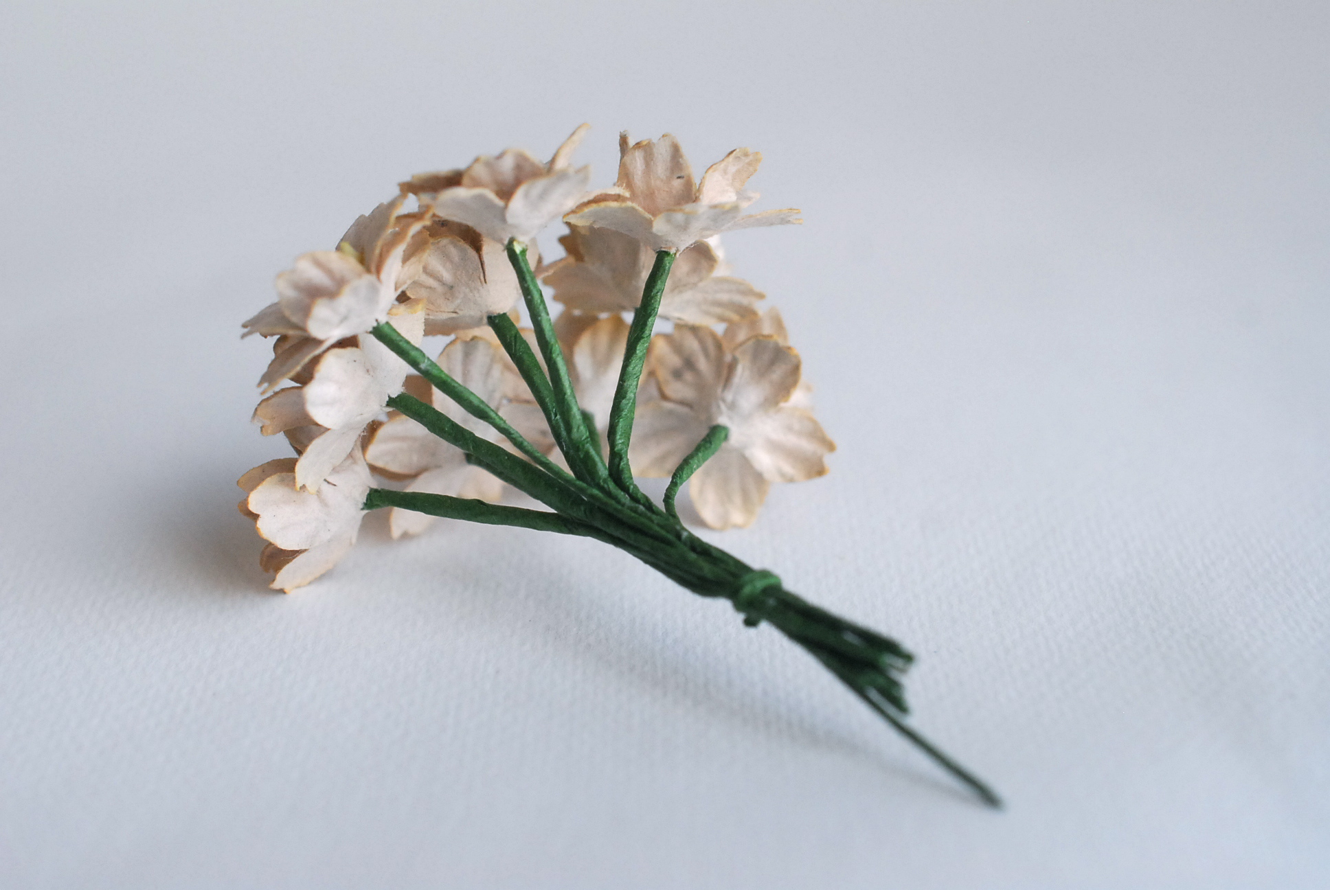 ดอกไม้กระดาษสา ดอกซากุระกระดาษ ขนาดเล็ก ดอกไม้กระดาษสาราคาส่ง ดอกไม้กระดาษสำหรับตกแต่งของชำร่วย งานแต่งงาน ทำช่อดอกไม้ติดอกเจ้าบ่าว ข้อมือดอกไม้เจ้าสาว ขนาด2.0 cm. 50 ดอก สีน้ำตาลอ่อนPaper flowers supplies: DIY wedding tools small Cherry blossom (Sakura)