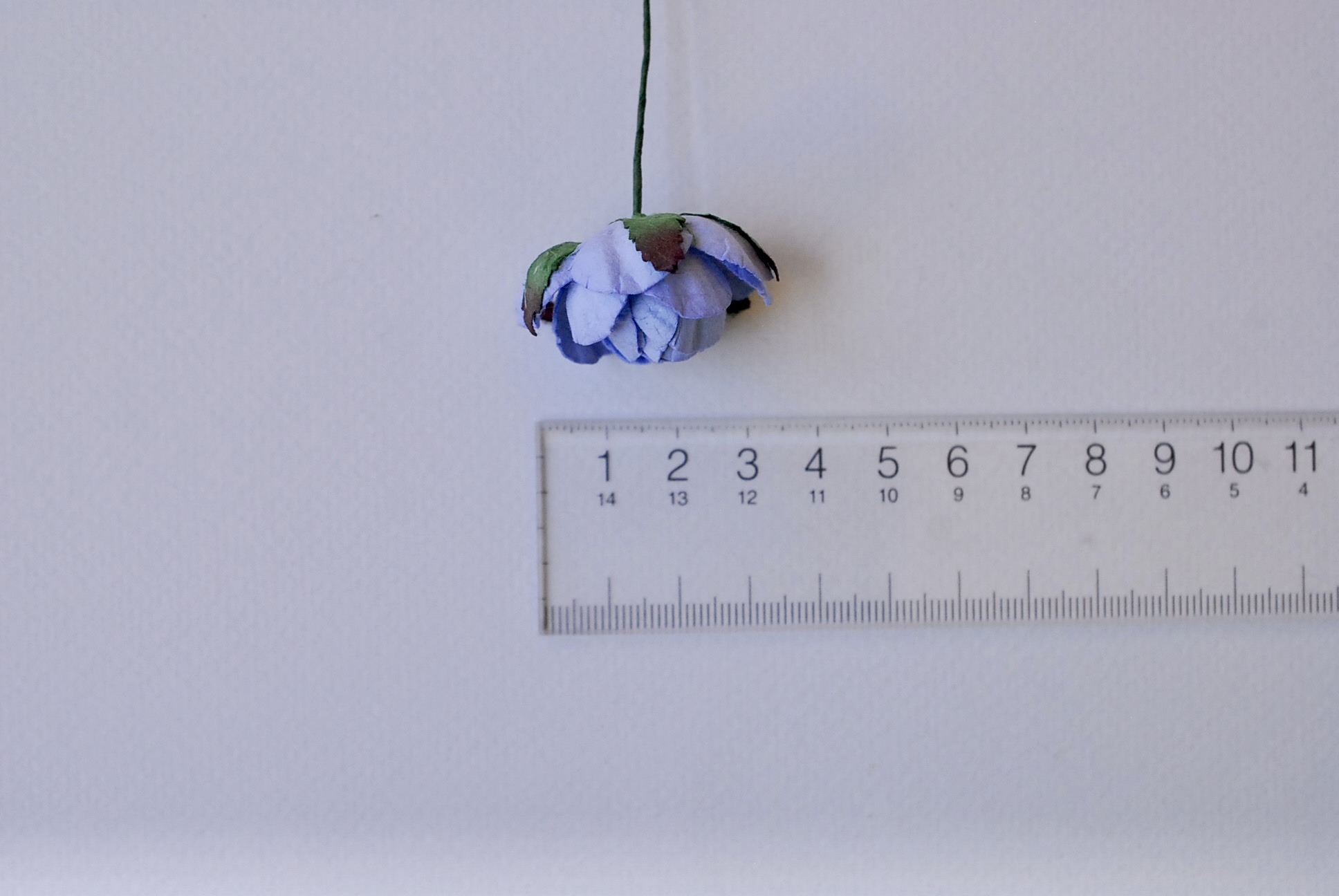 ดอกไม้กระดาษสาราคาส่ง, ดอกไม้กระดาษ,สำหรับตกแต่งของชำร่วย งานแต่งงาน ดอกกุหลาบกลม peony ขนาด 3.5 cm. จำนวน 25 ดอก, สีน้ำเงินตุ่น Paper Flowers, Peony flowers supplies size 3.5 cm./ 25 pieces, handmade flowers, peony pale blue color.