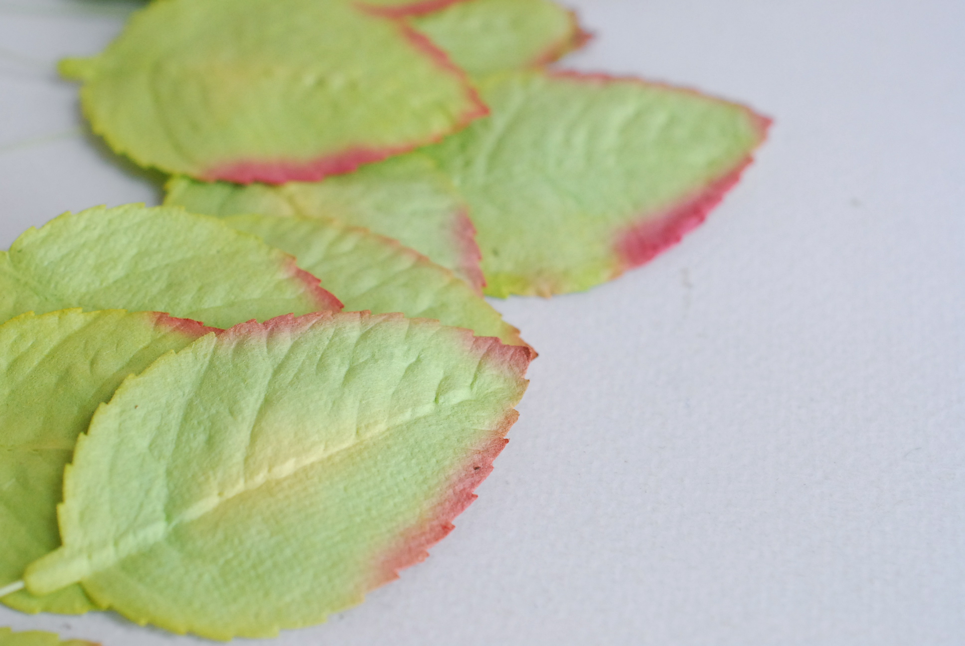 ใบไม้กระดาษ ใบไม้กระดาษสา ราคาส่ง,ใบไม่้กุหลาบกระดาษ สำหรับดอกกุหลาบกระดาษสา ใบไม้ประดิษฐ์ สำหรับตกแต่ง หรืองานแต่งงาน สีเขียวปัดแดง ขนาด6x4.5 cm. จำนวน 50 ใบ