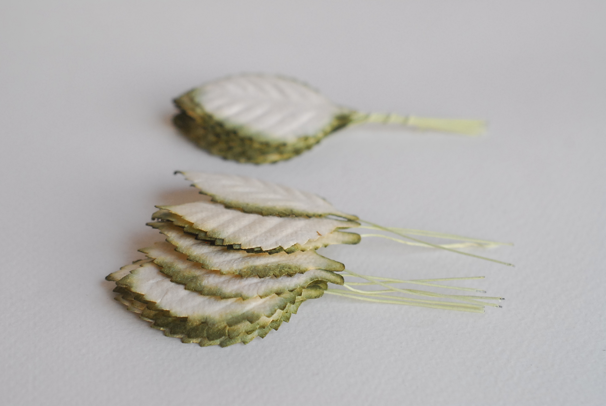 ใบไม้กระดาษ ใบไม้กระดาษสา ราคาส่ง,ใบไม่้กุหลาบกระดาษ สำหรับดอกกุหลาบกระดาษสา ใบไม้ประดิษฐ์ สำหรับตกแต่ง หรืองานแต่งงาน สีขาวปัดเขียวแก่ ขนาด 4.5x2.5 cm. จำนวน 50 ใบ