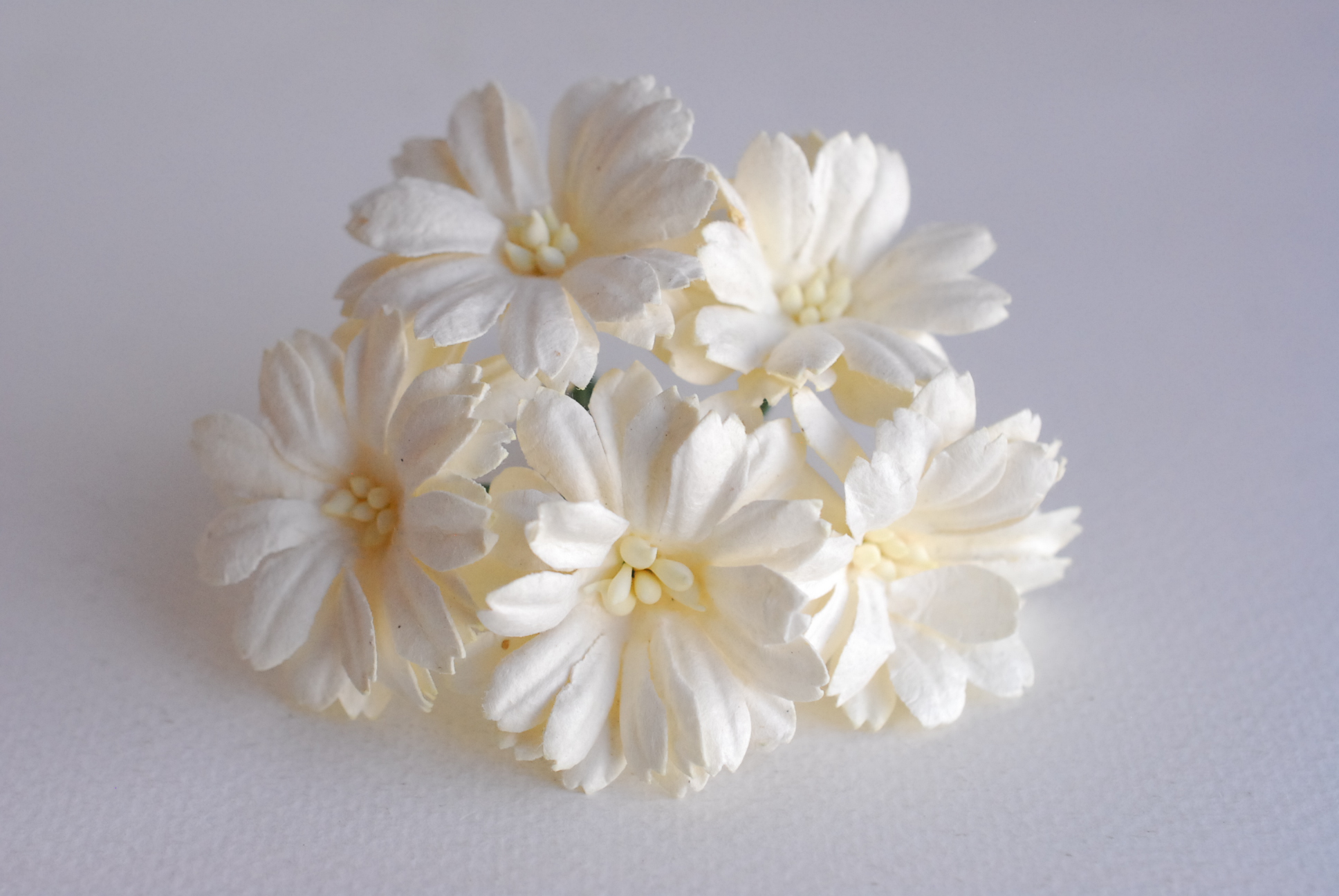 ดอกไม้กระดาษสา ดอกไม้ประดิษฐ์จากกระดาษสา ดอกเดซี่ ดอกไม้กระดาษสาขายส่ง ดอกไม้ประดิษฐ์ ดอกไม้ทำข้อมือเพื่อนเจ้าสาว ดอก daisy ขนาด 3.5 cm. จำนวน 25 ดอก สีครีม Paper Flower, 25 Daisy Flowers, ivory color, size 4.5 cm., ivory cream pollen.
